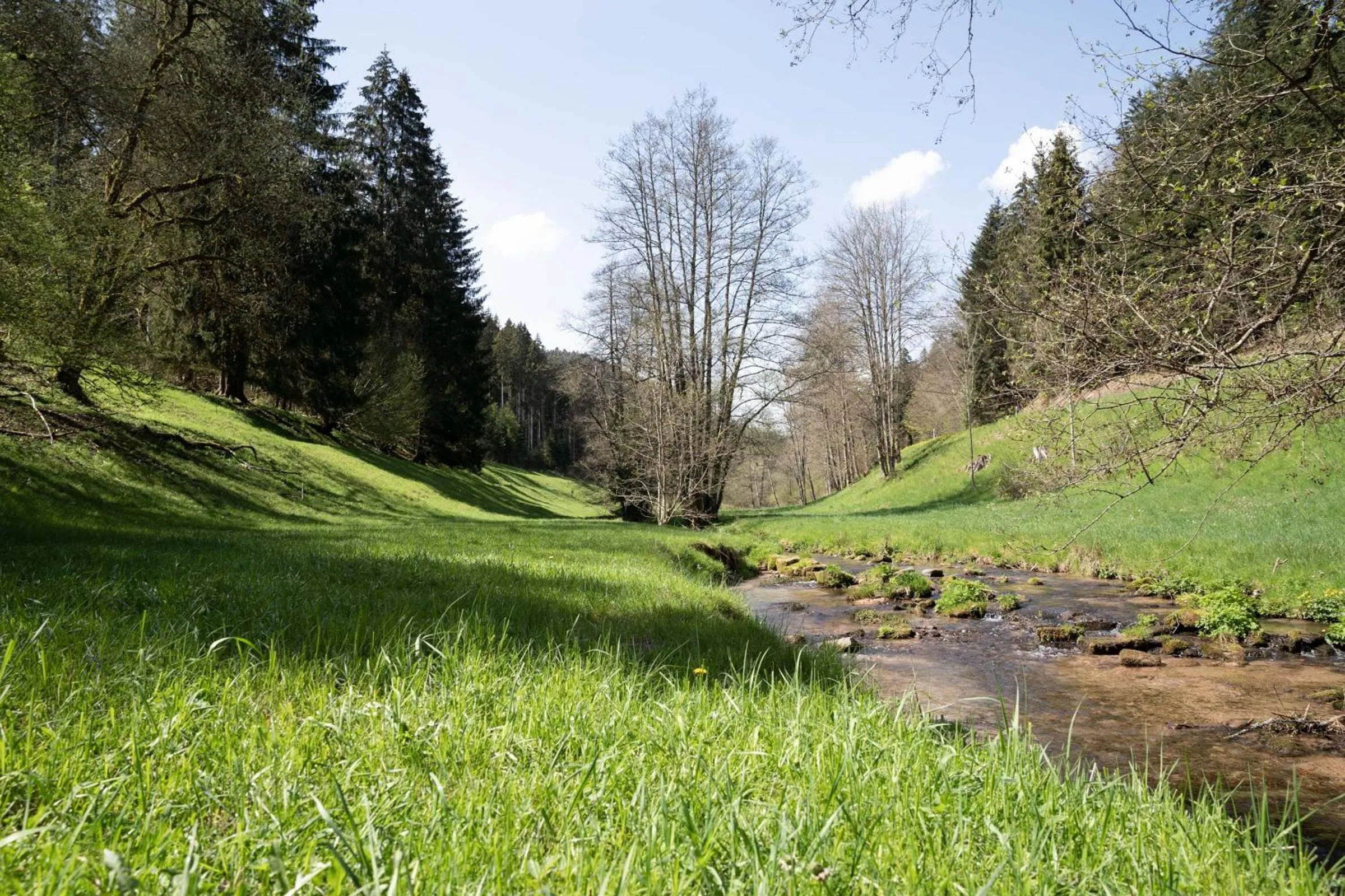 Natural landscape in Hotel Rössle Berneck