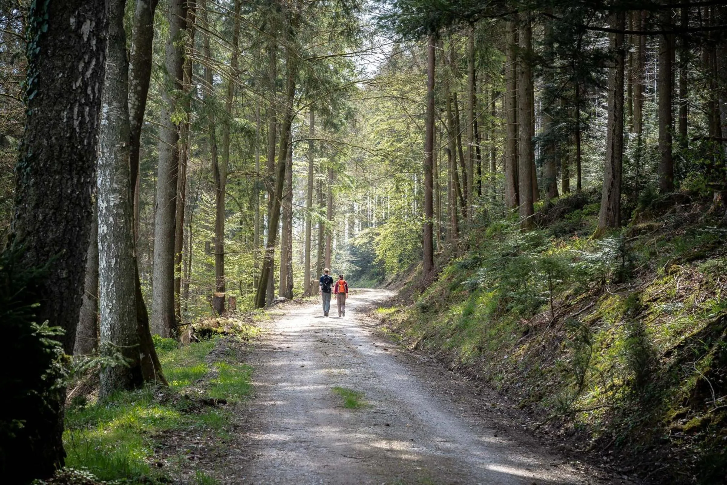 Hiking in Hotel Rössle Berneck