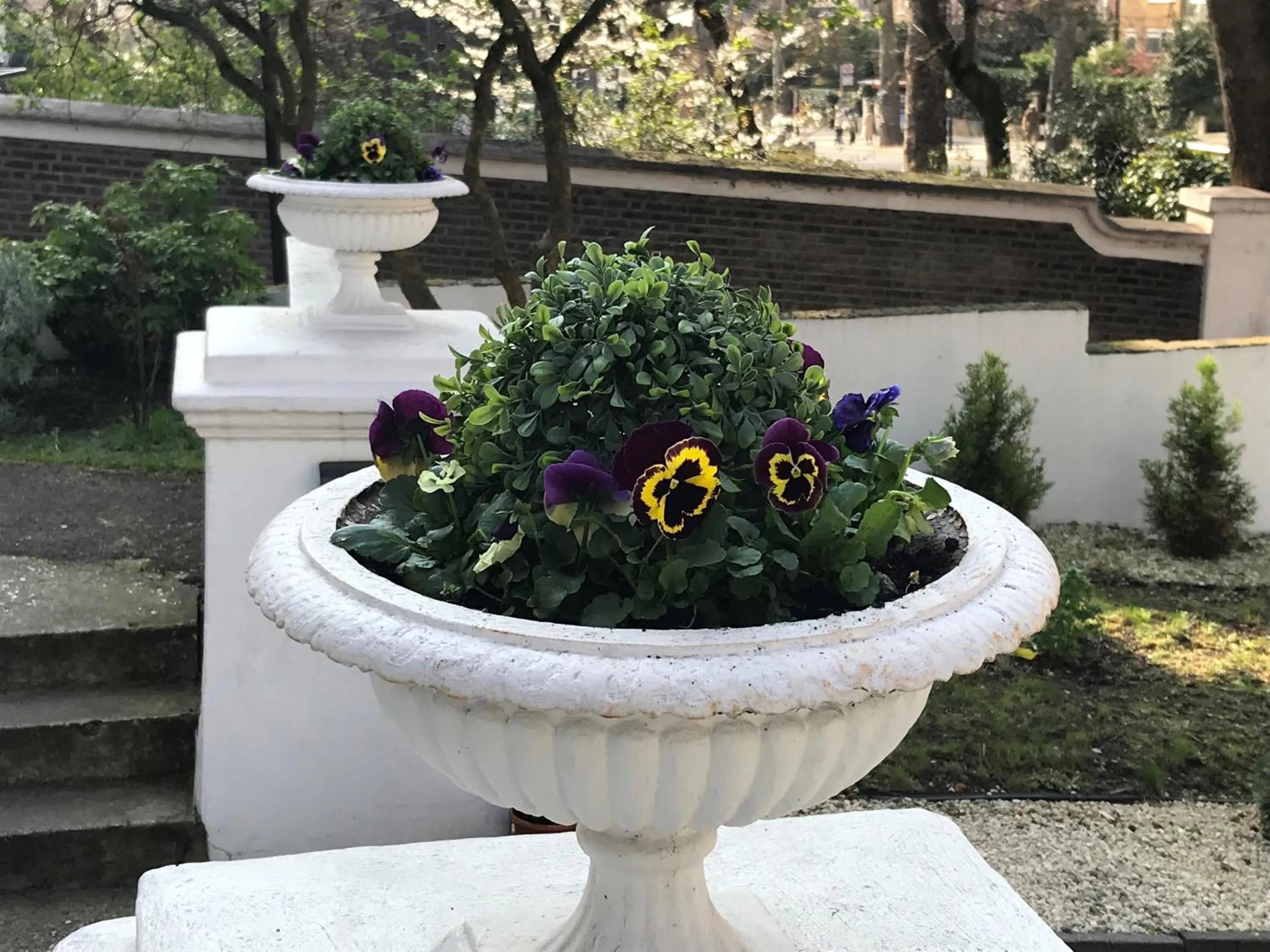 Property building in Ravna Gora