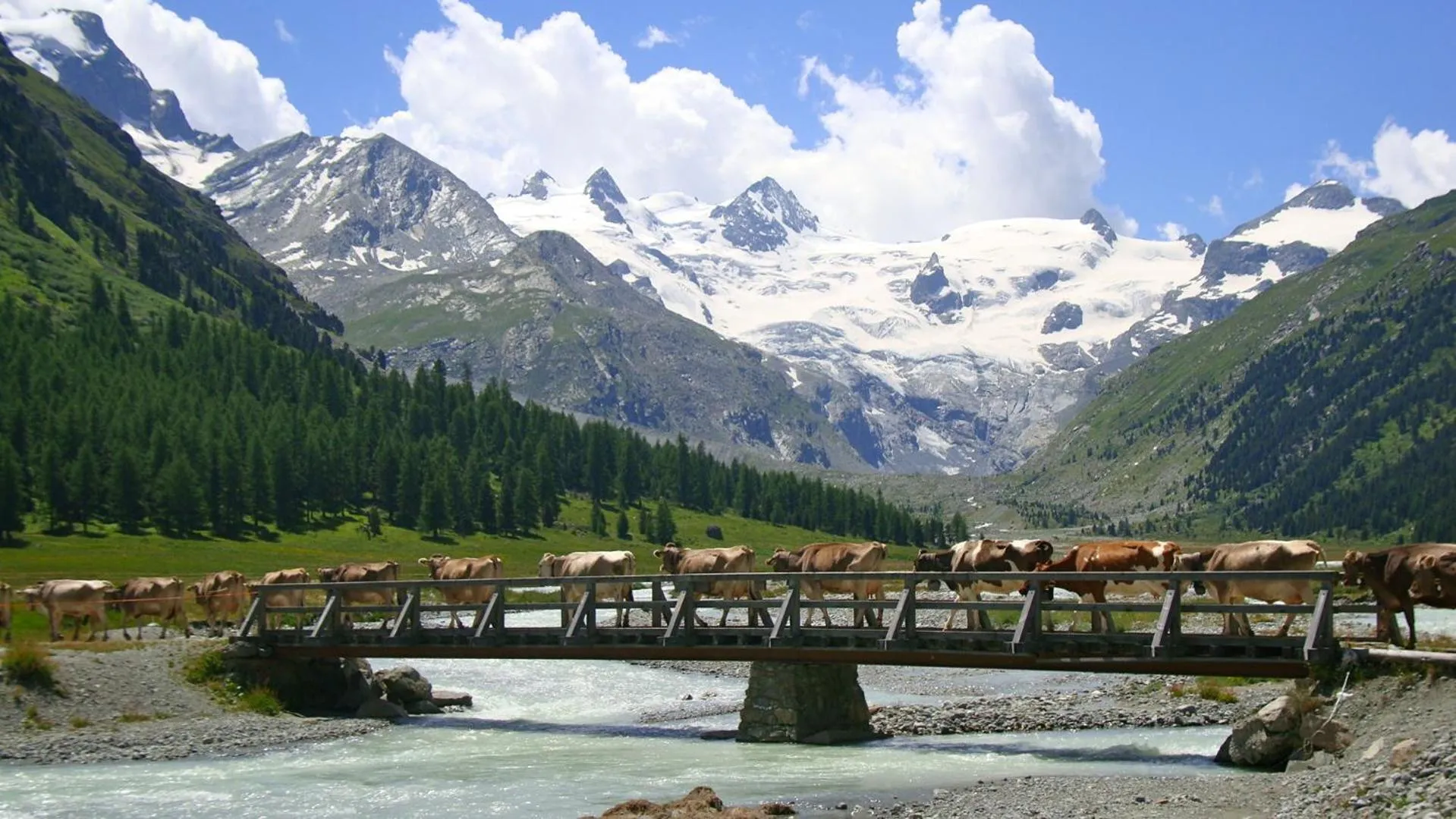 Garden in Hotel Roseg-Gletscher