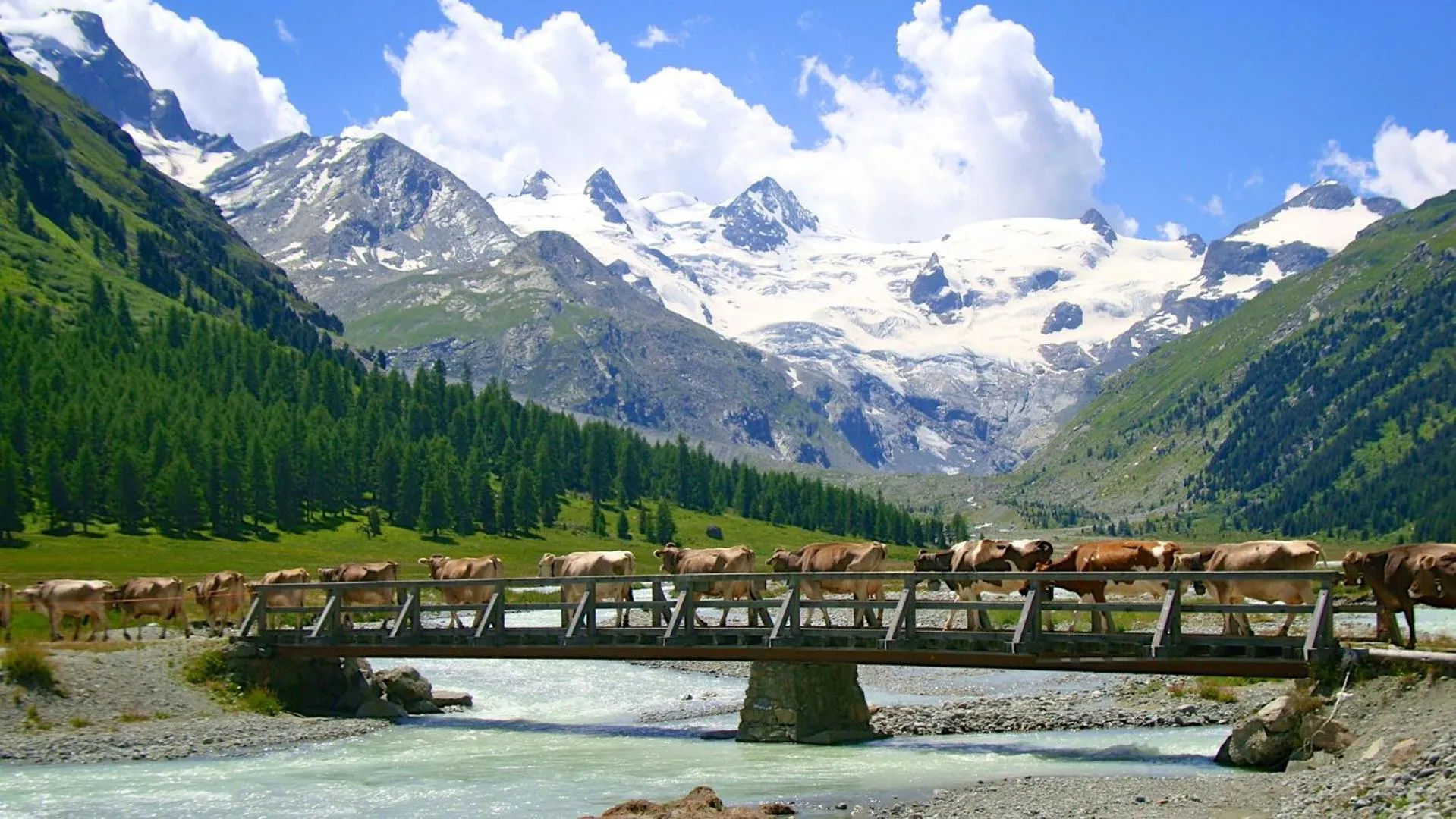 Natural landscape in Hotel Roseg-Gletscher