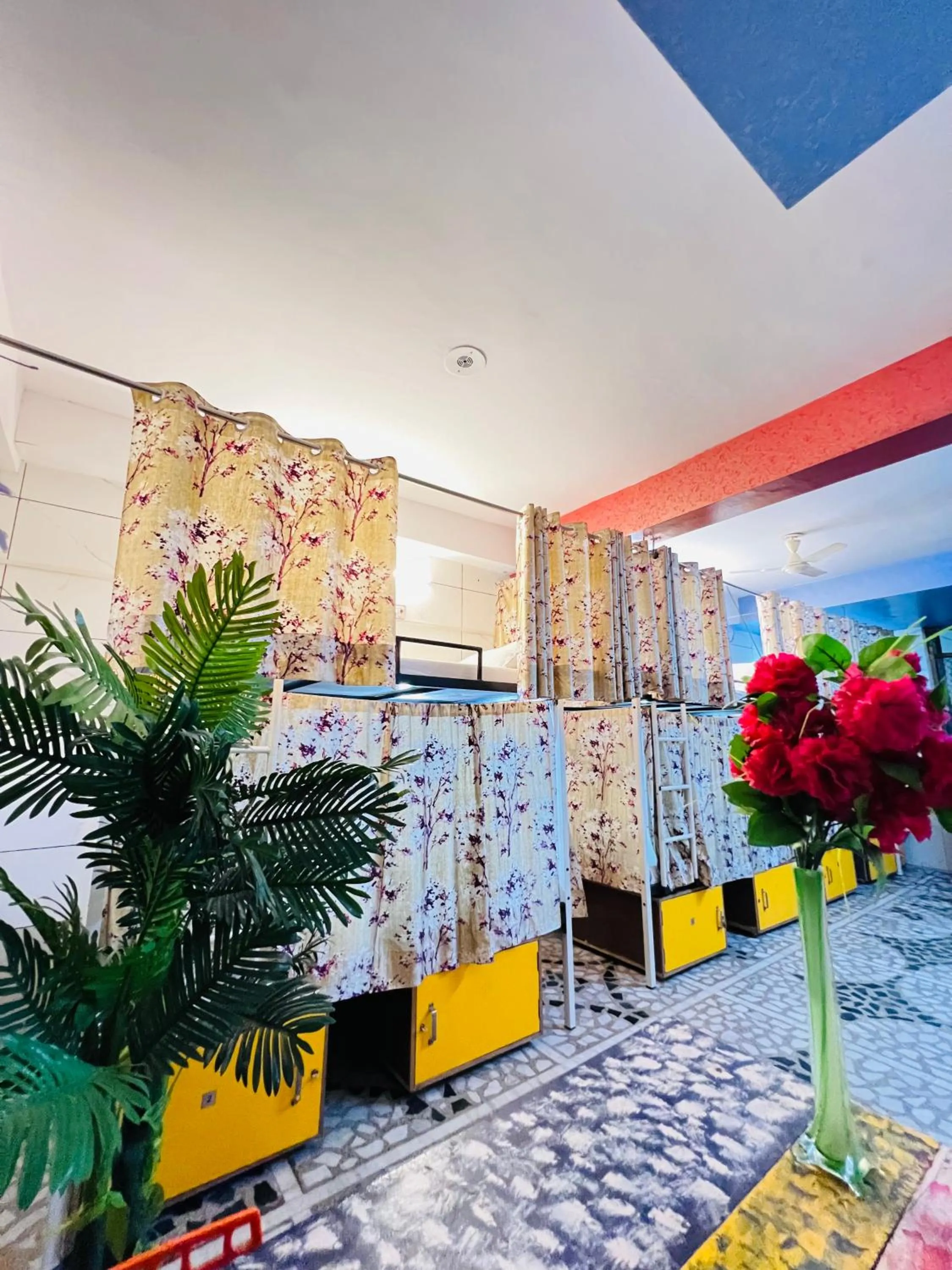 bunk bed in Hotel Moon Light Palace