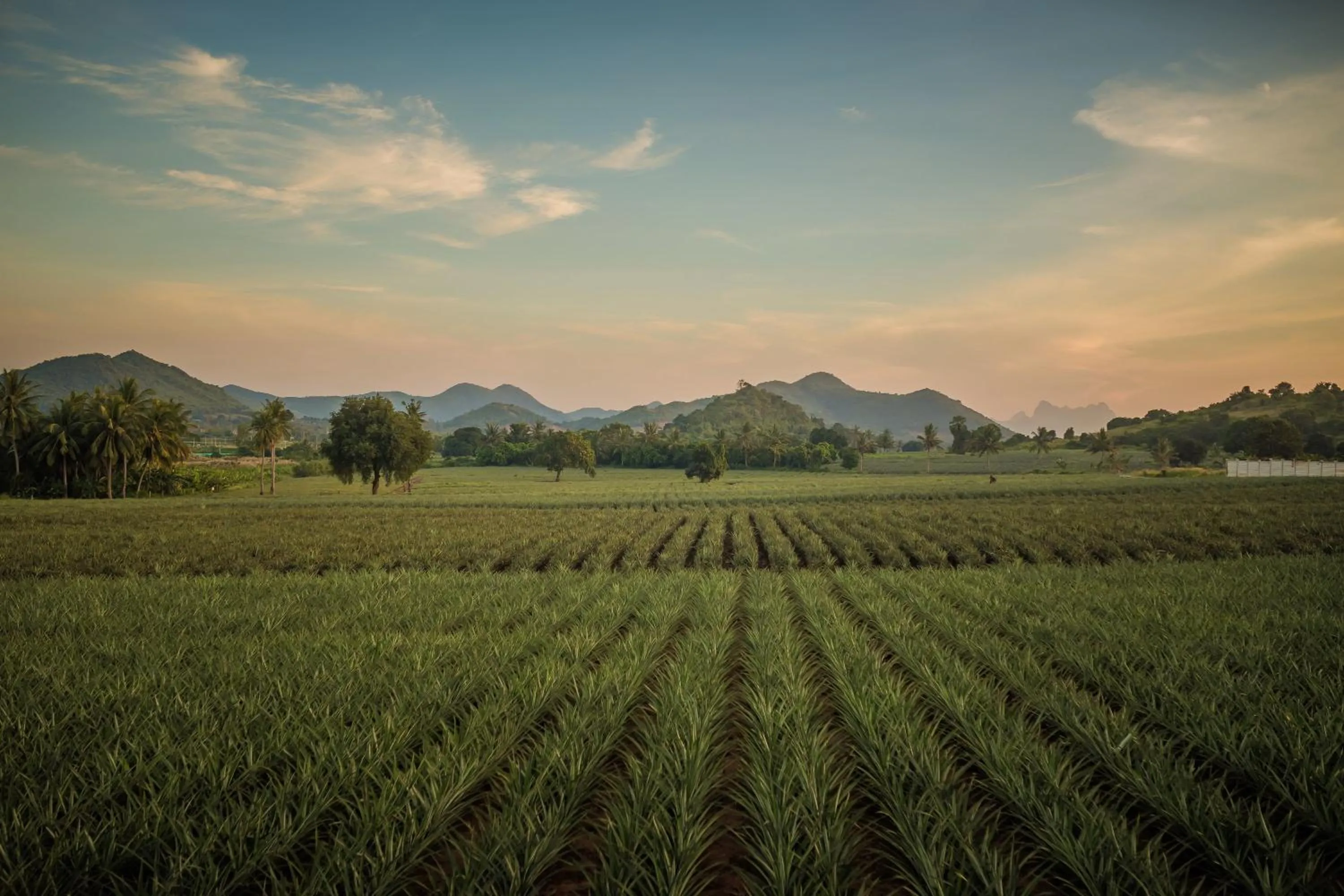 Natural landscape in Pa Prai Villas and Suites Resort