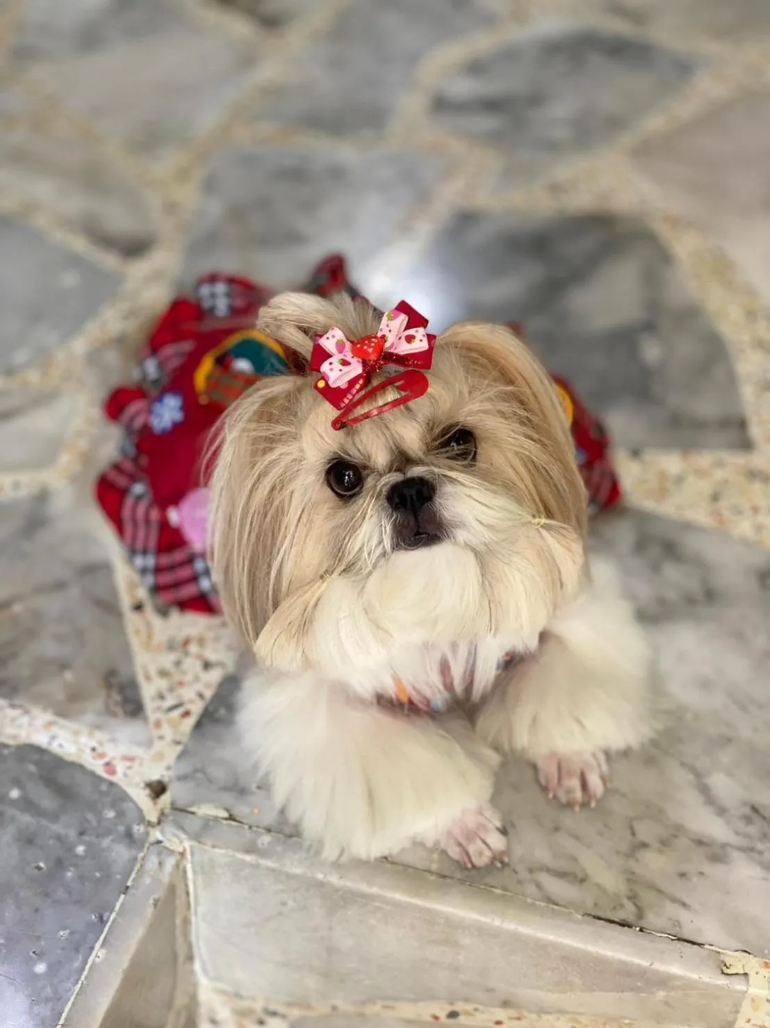 Pa Prai Villas and Suites Resort