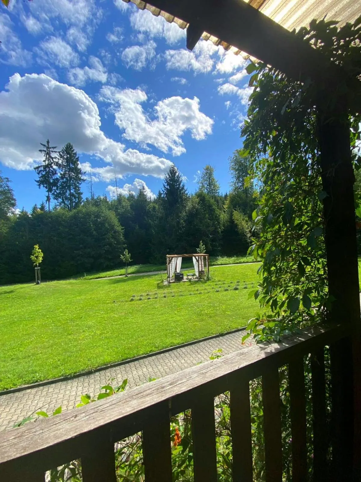 View (from property/room) in Resort Lesní Lázně