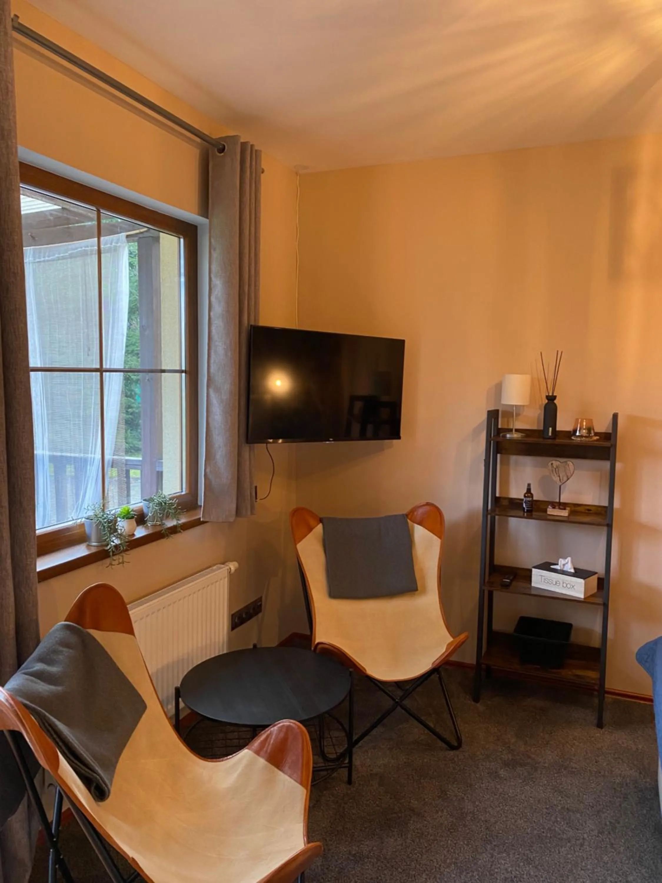 TV and multimedia in Resort Lesní Lázně