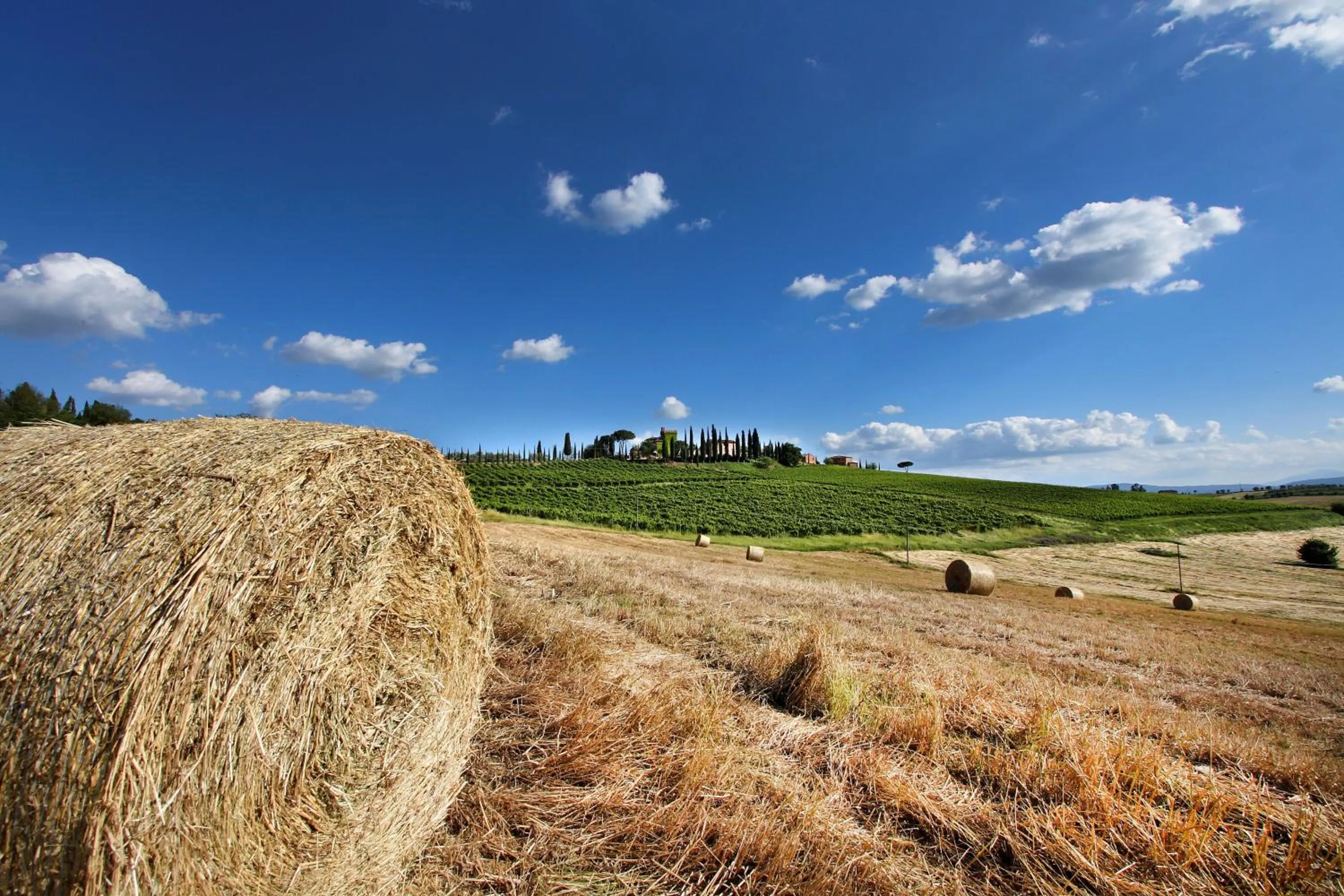 Landmark view in Borgo Tre Rose