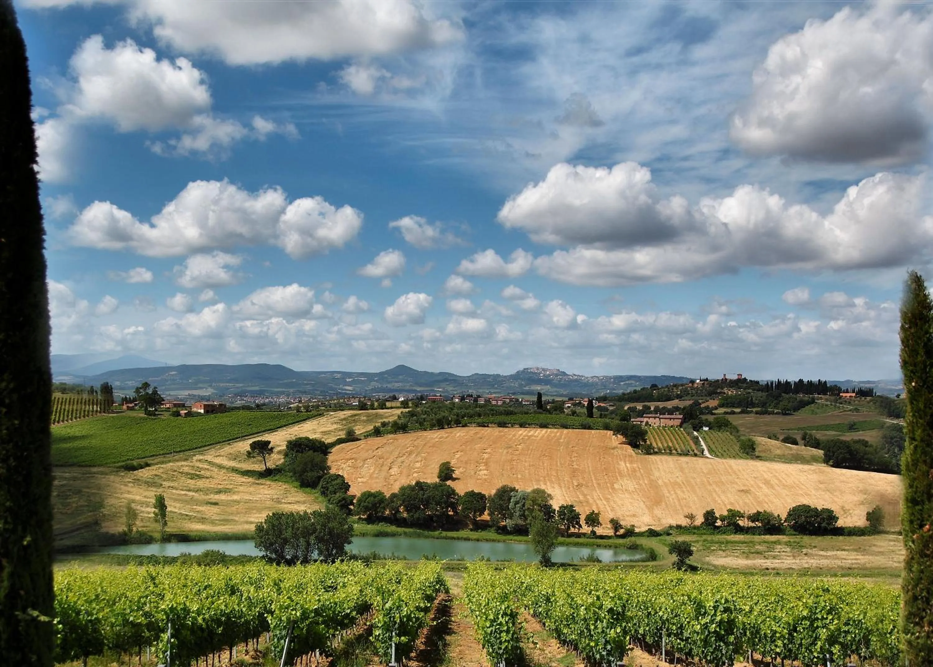 View (from property/room) in Borgo Tre Rose