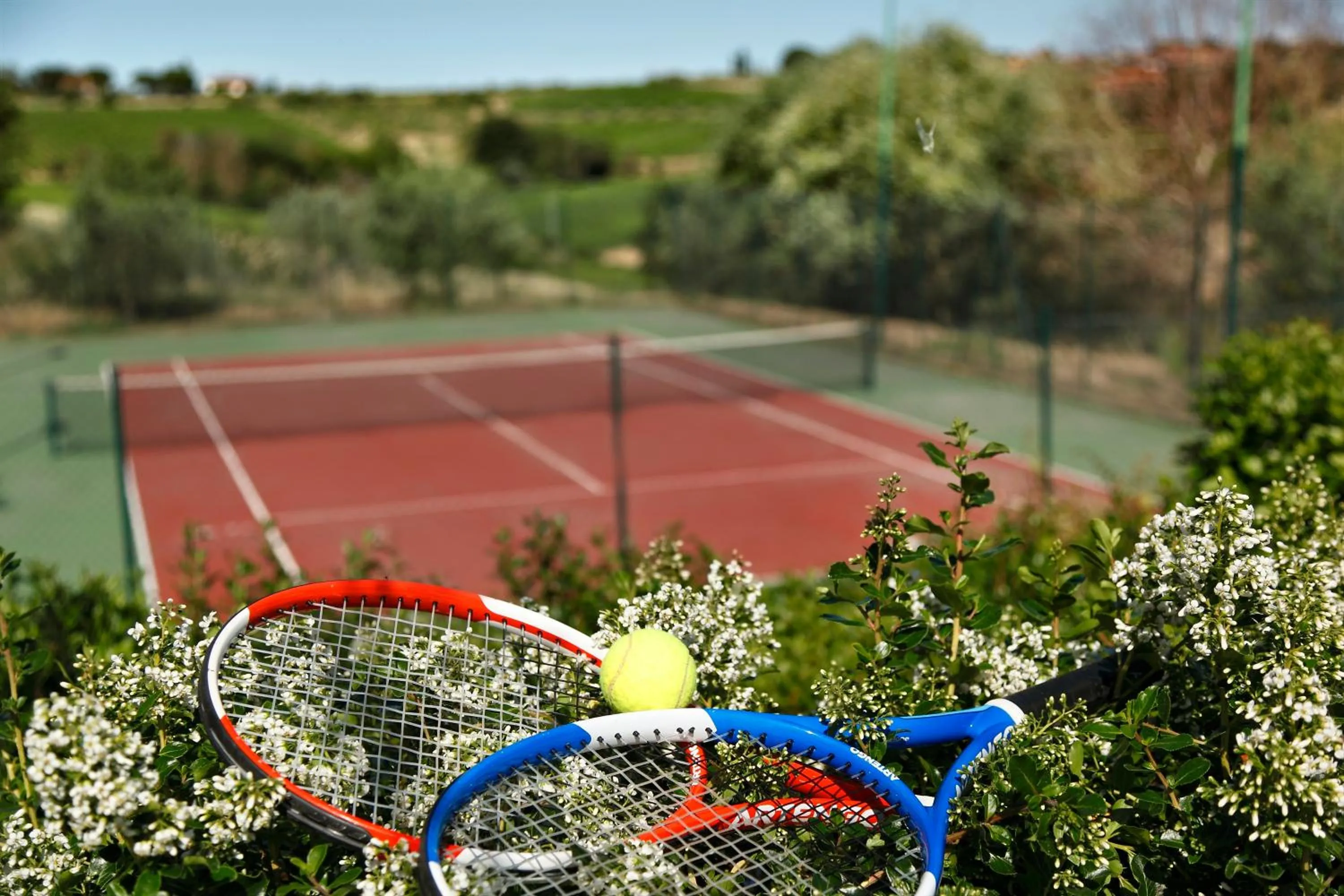 Day in Borgo Tre Rose