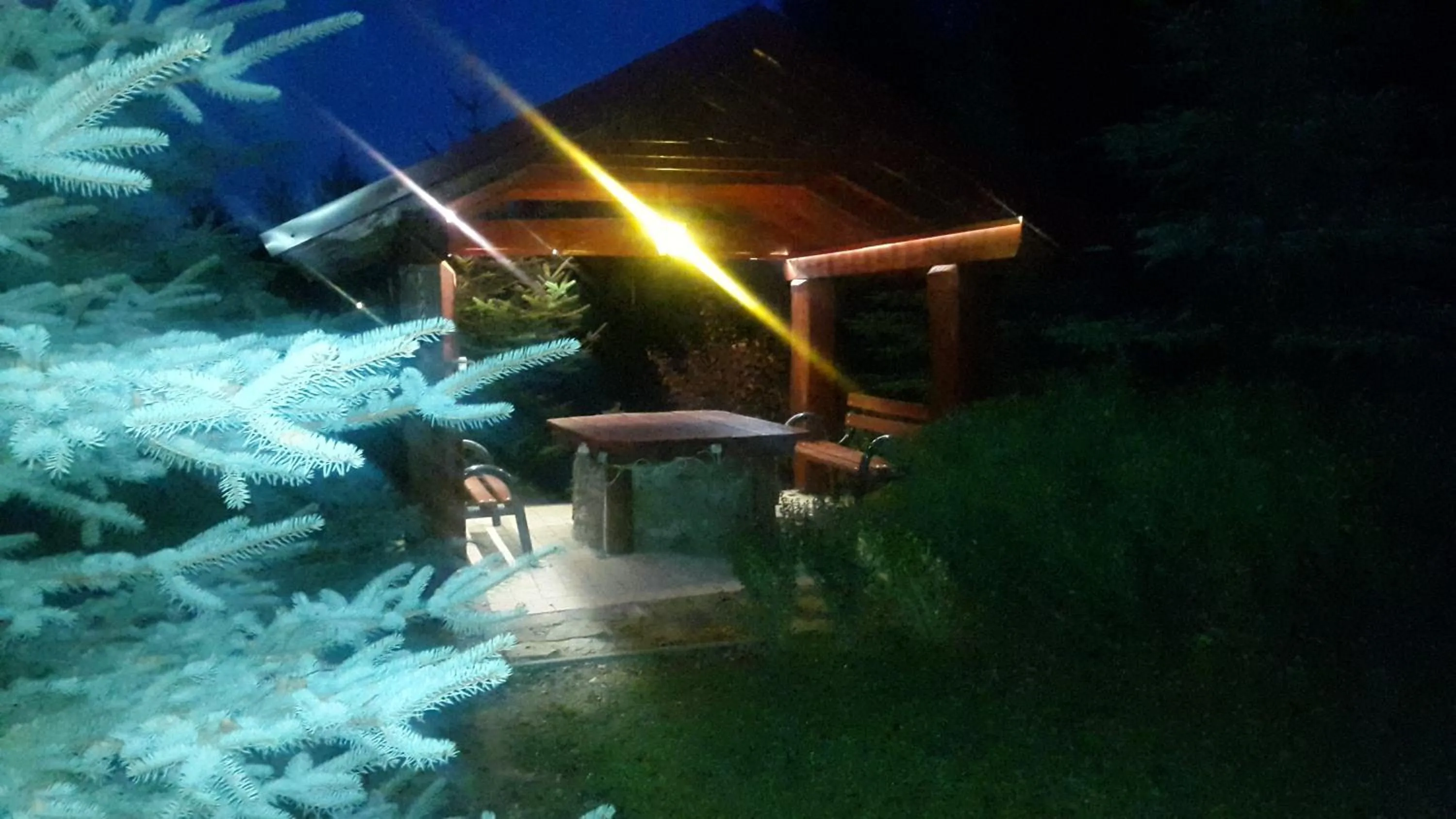 Food and drinks in Koliba