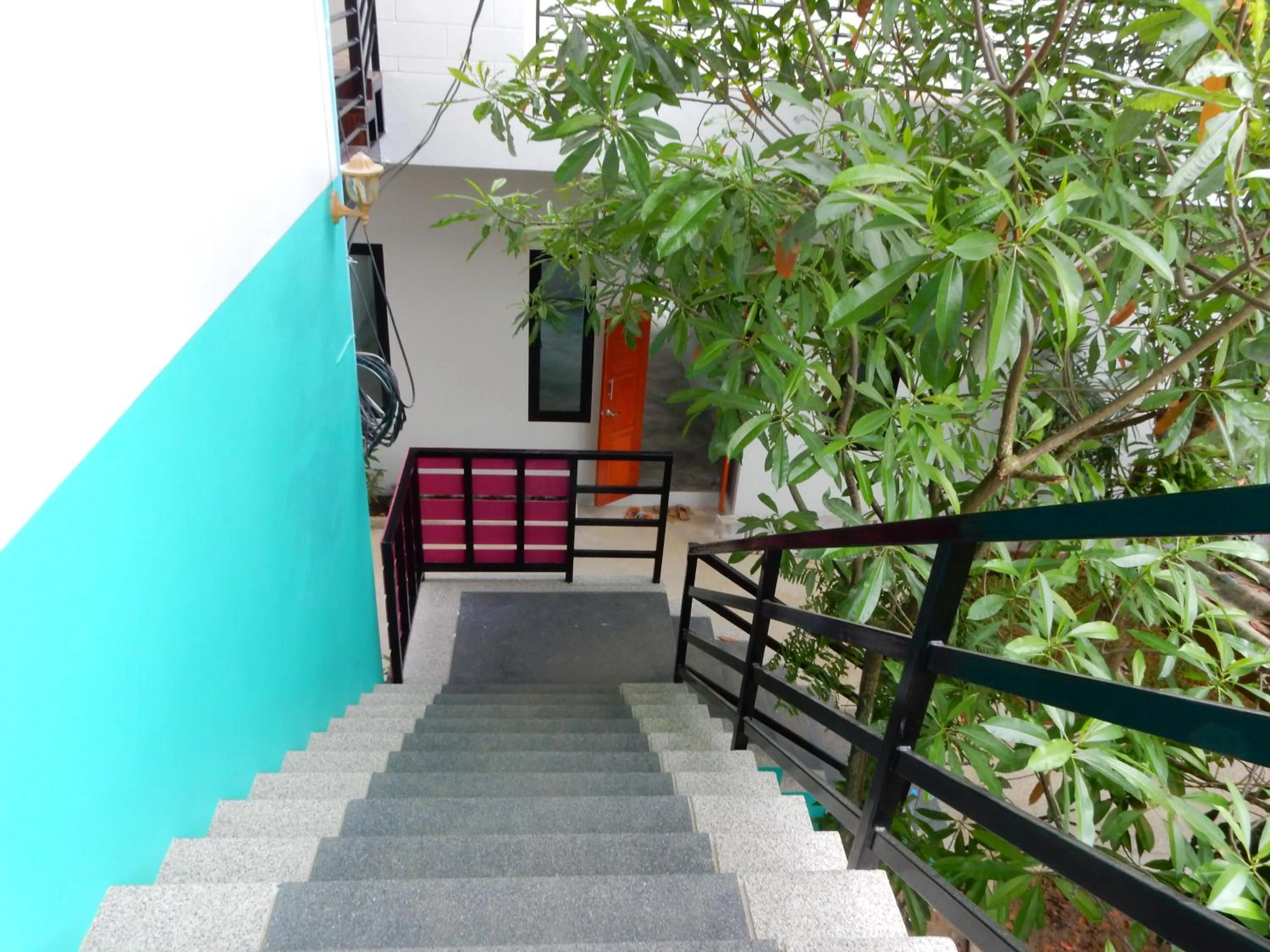 Area and facilities in Wandee Bed & Breakfast