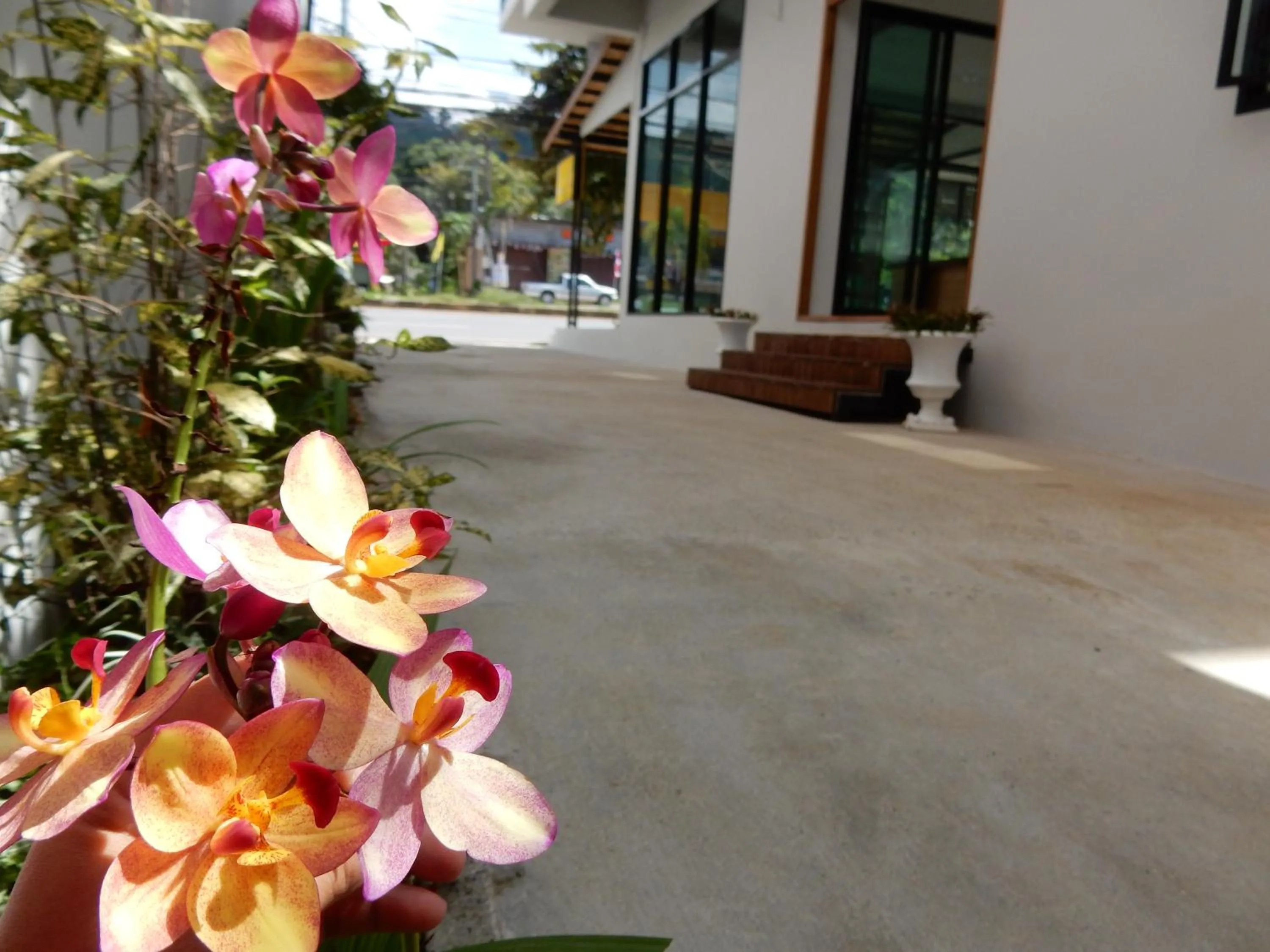 Street view in Wandee Bed & Breakfast