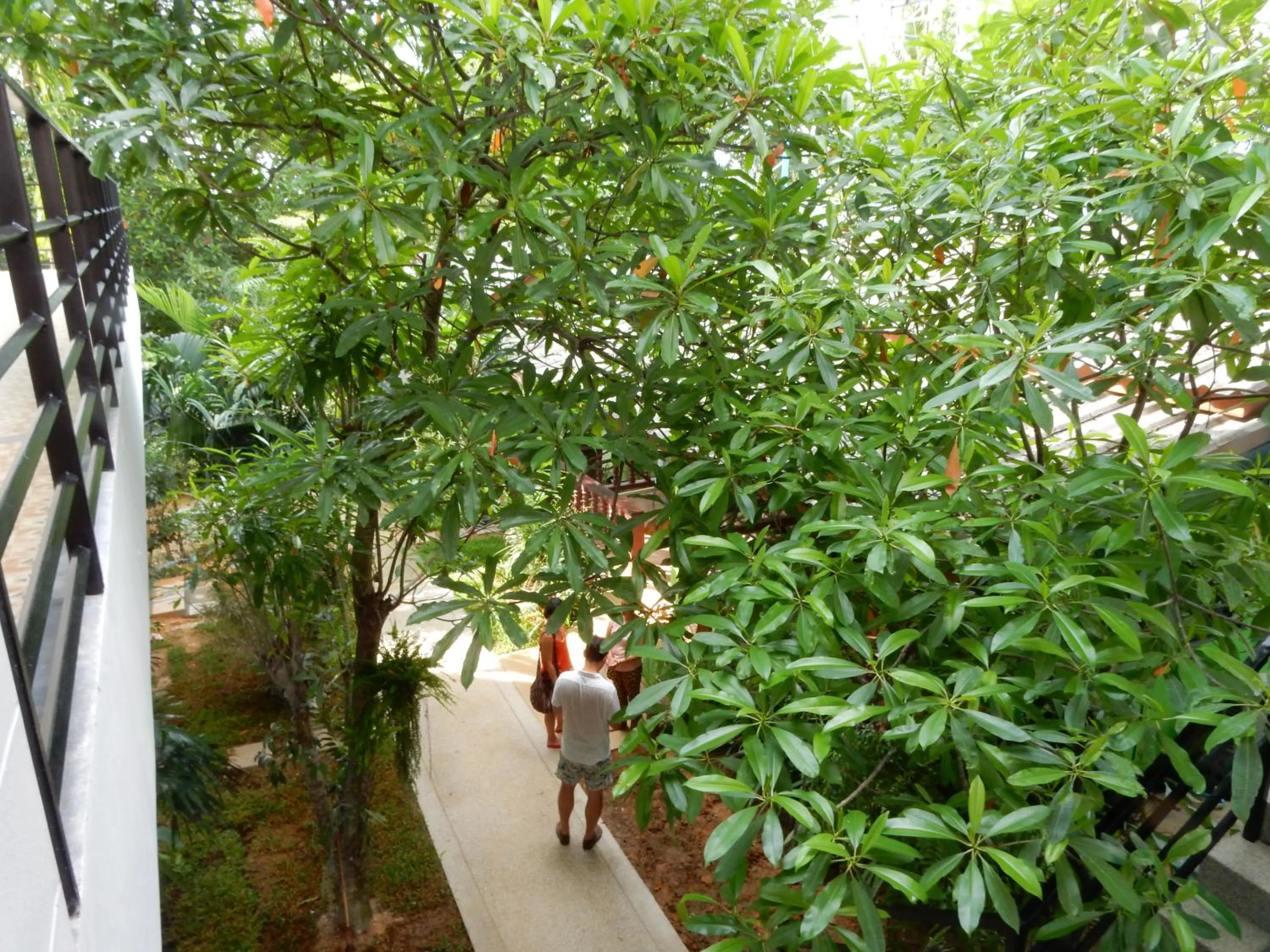 Garden in Wandee Bed & Breakfast