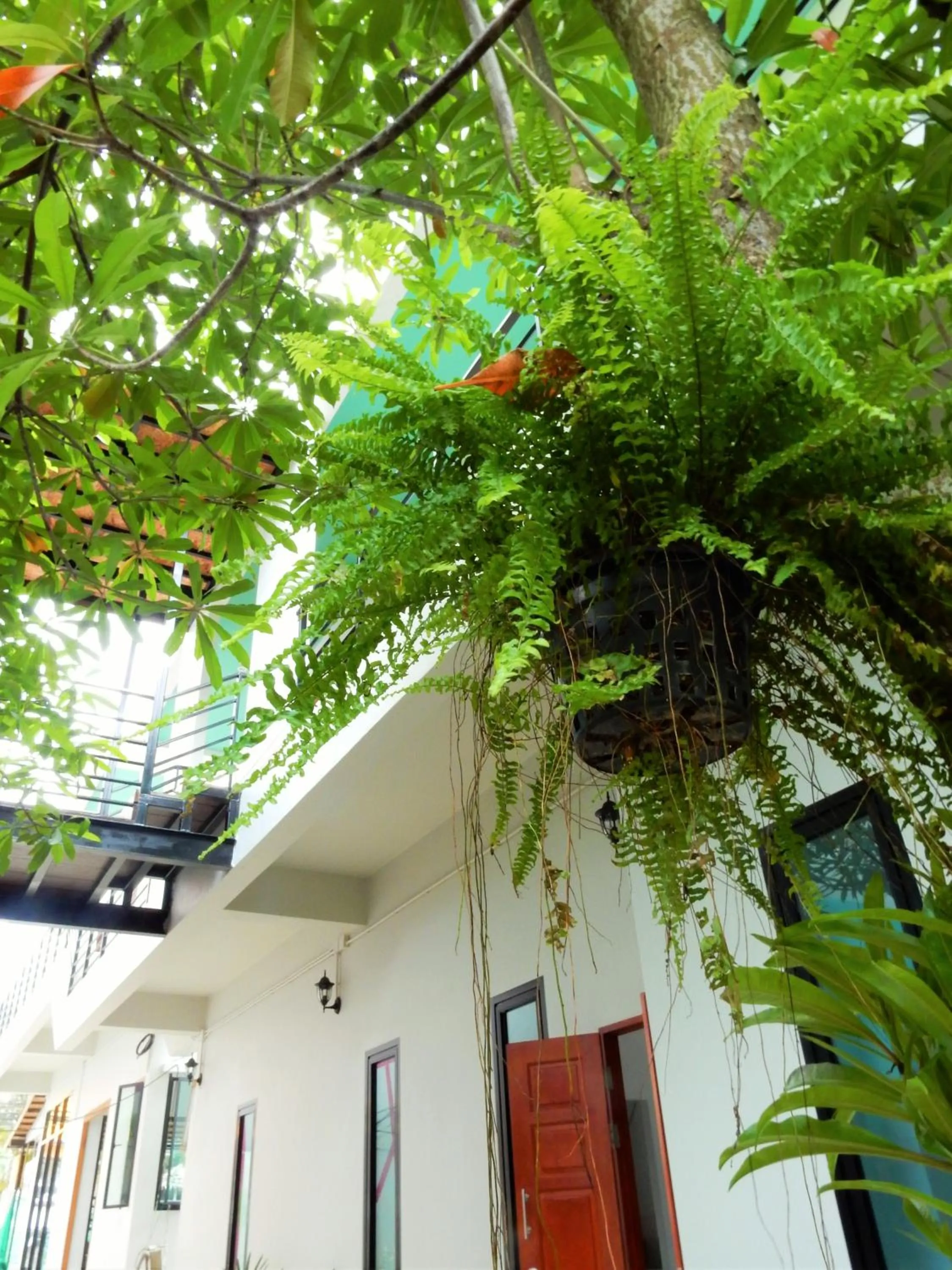 Garden in Wandee Bed & Breakfast