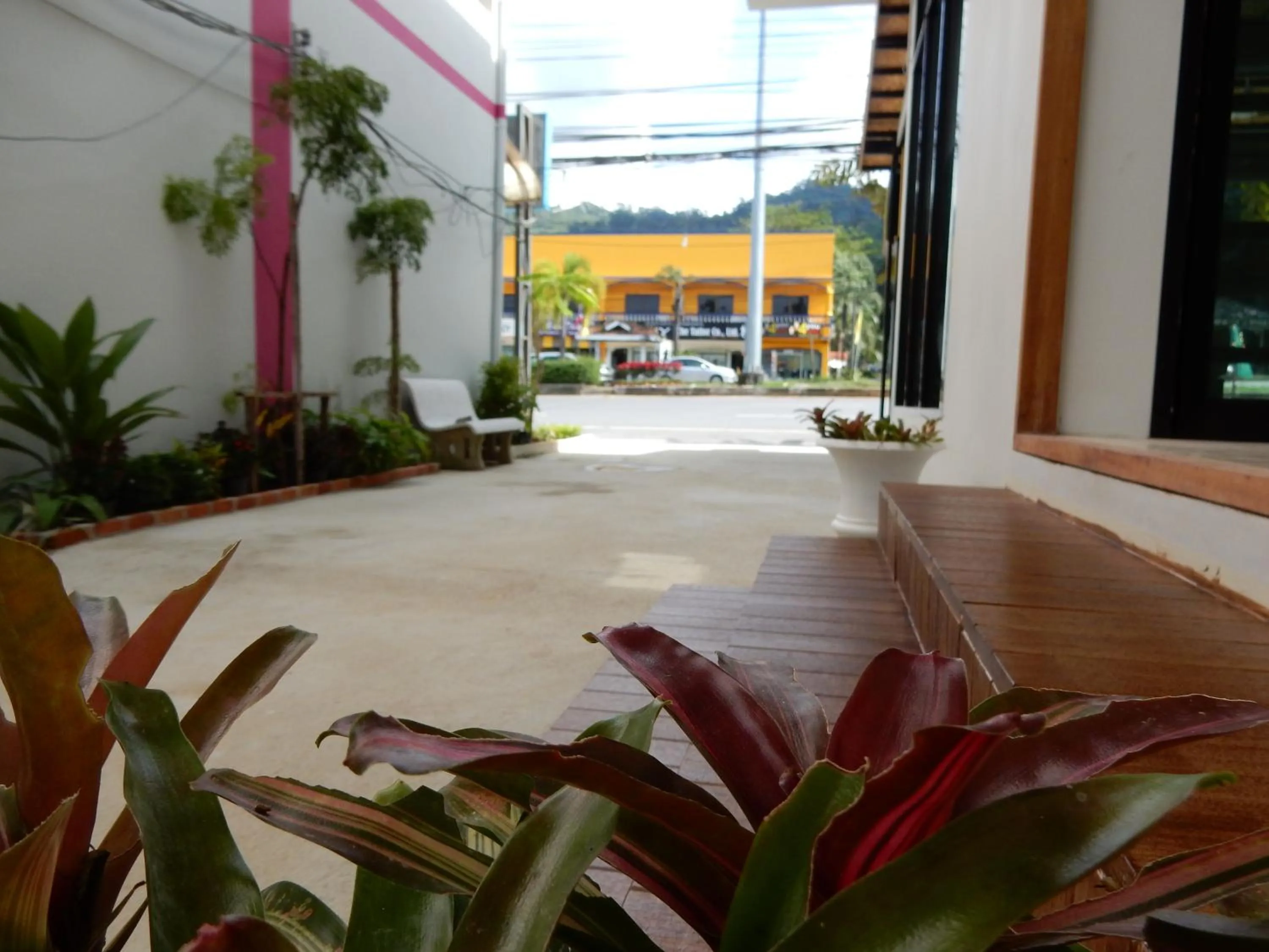 Street view in Wandee Bed & Breakfast