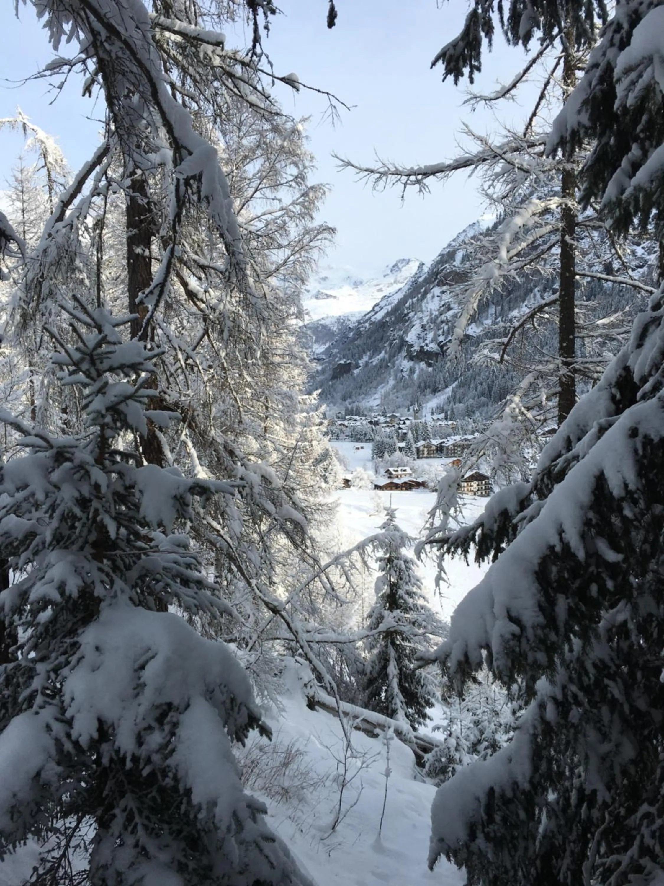 Natural landscape in Hotel Gran Baita