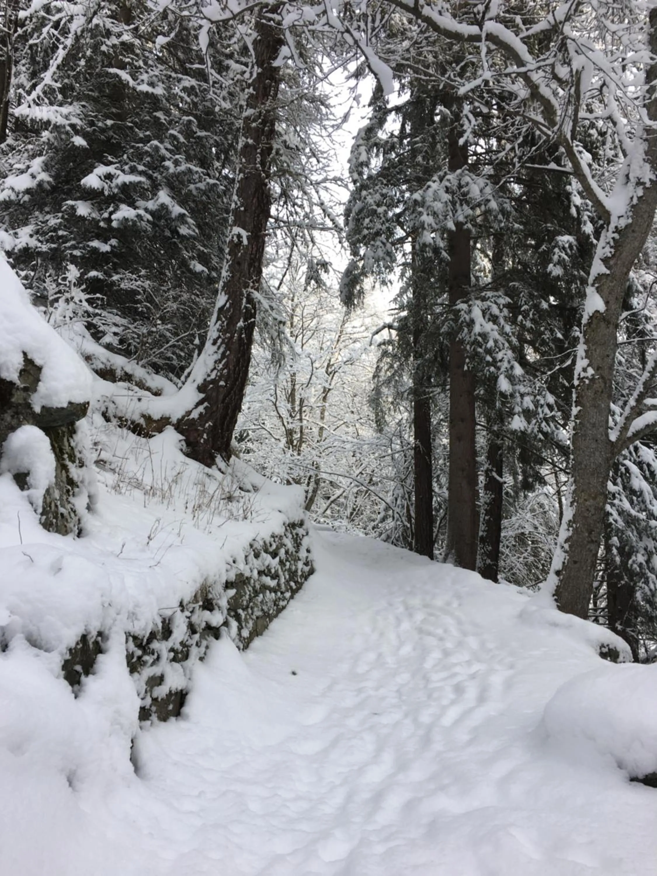 Winter in Hotel Gran Baita