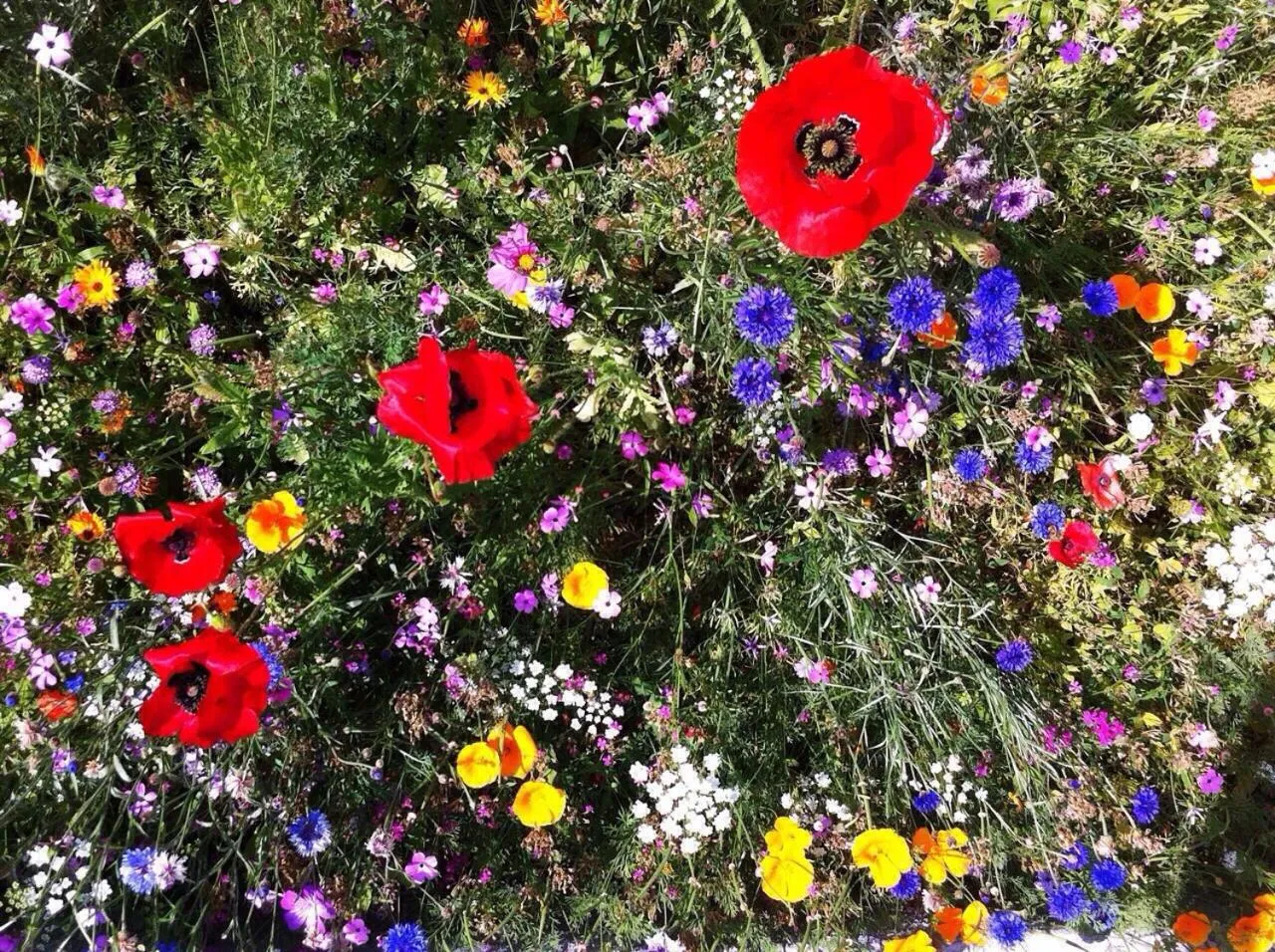 Property building in Hotel Gran Baita