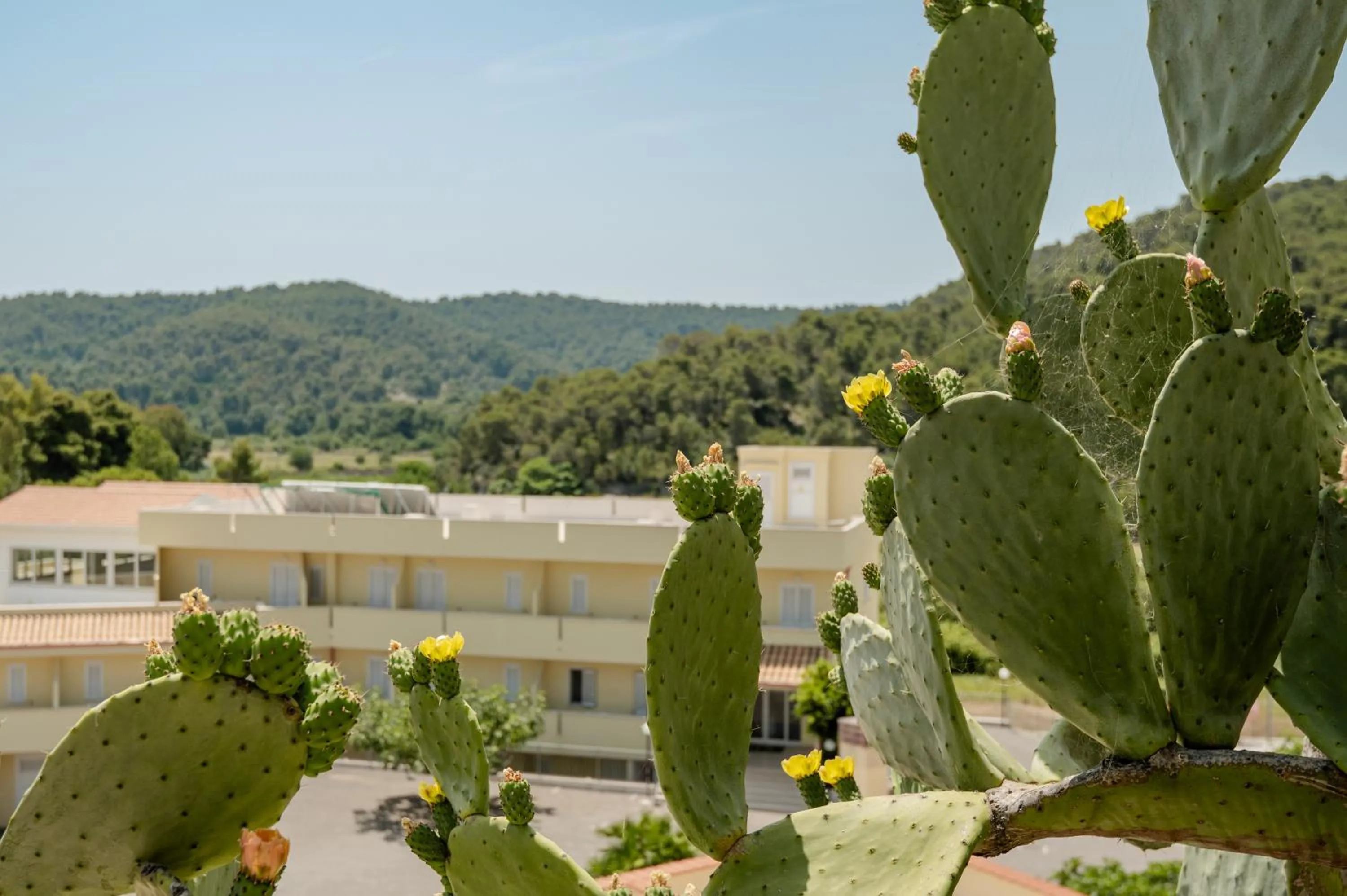 Property building in Hotel Sfinalicchio