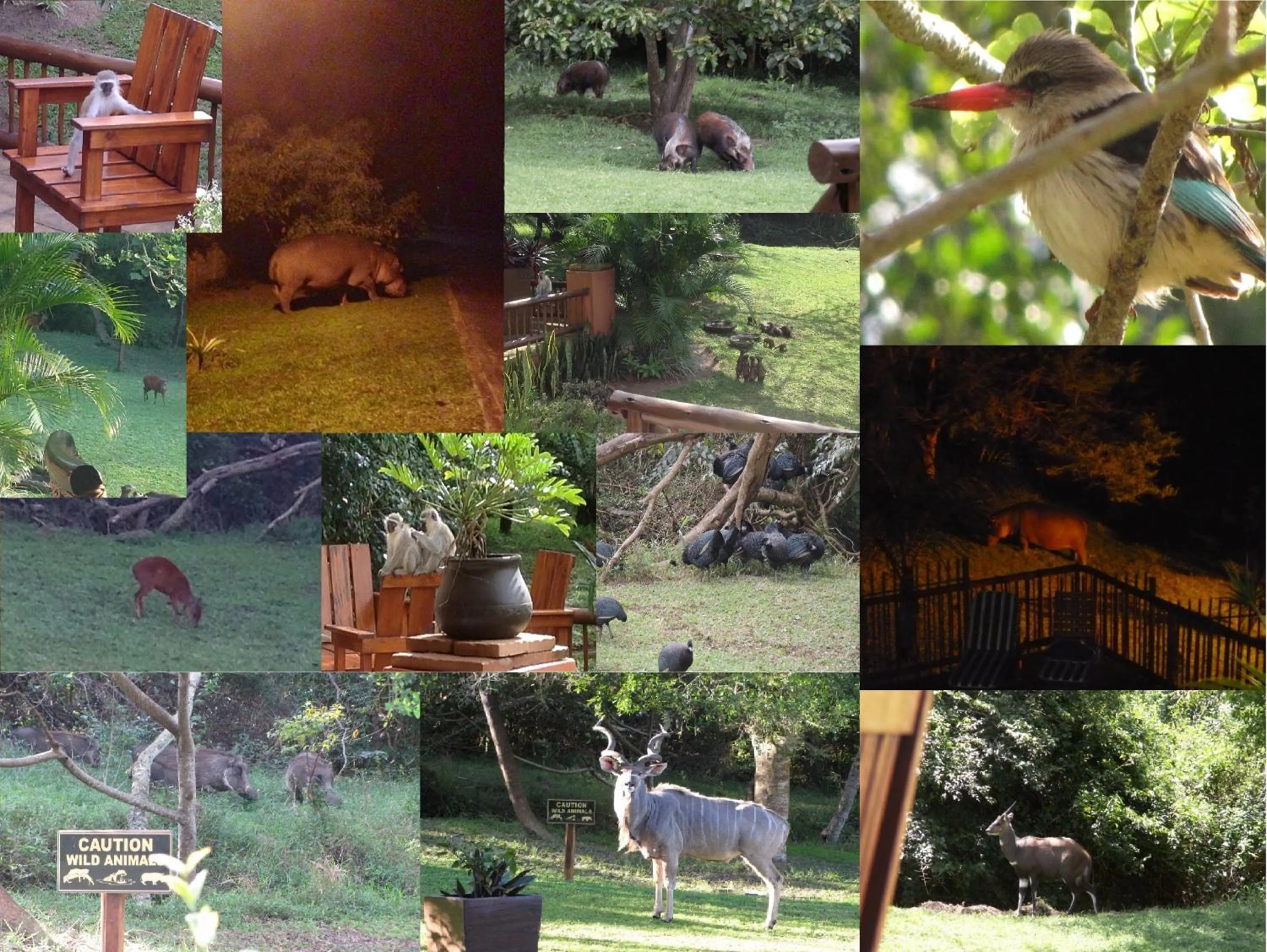 Garden in Elephant Coast Guesthouse