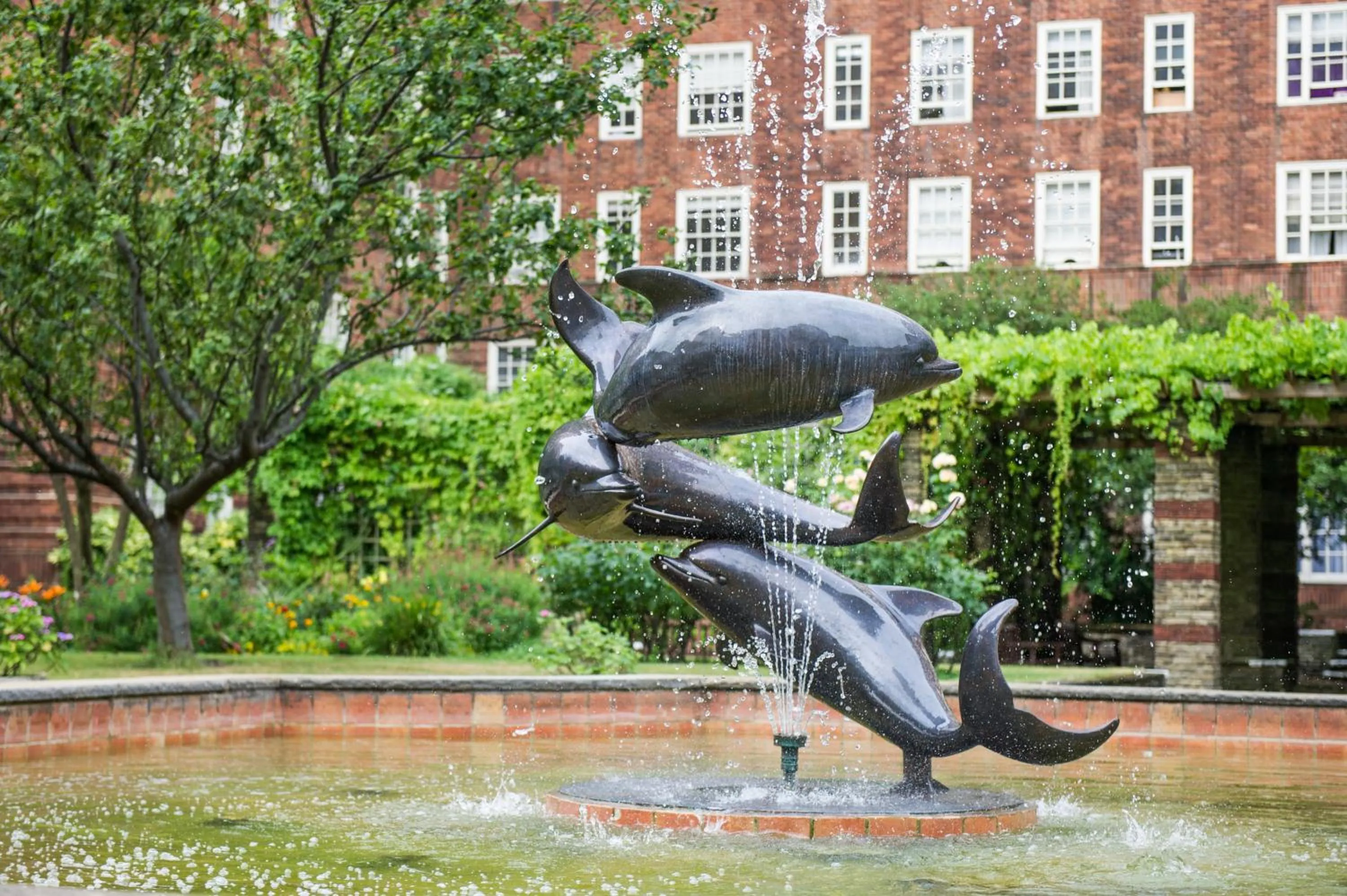 Garden in Dolphin House Serviced Apartments