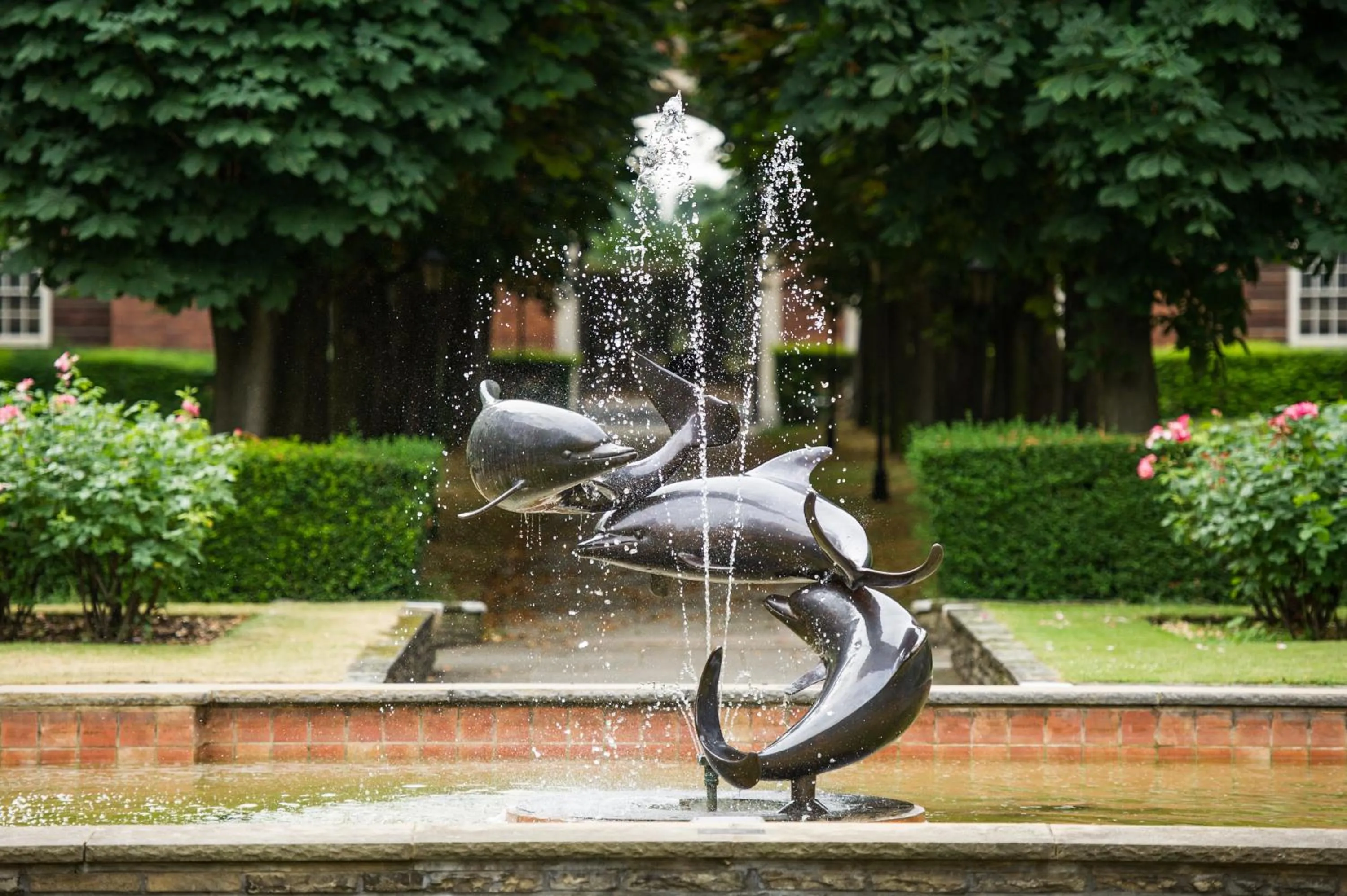 Facade/entrance in Dolphin House Serviced Apartments