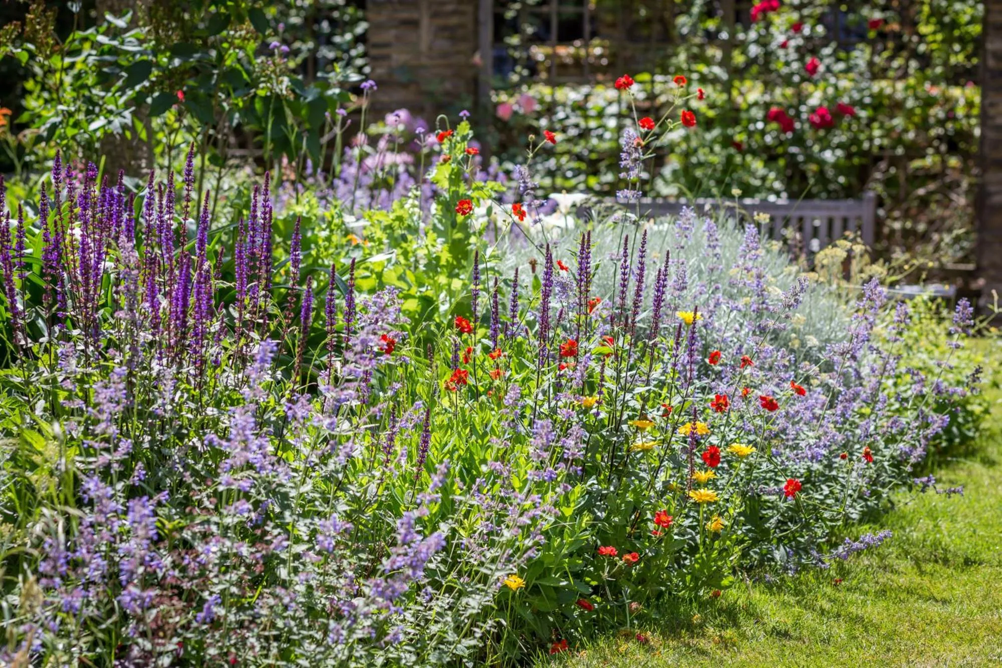 Garden in Dolphin House Serviced Apartments