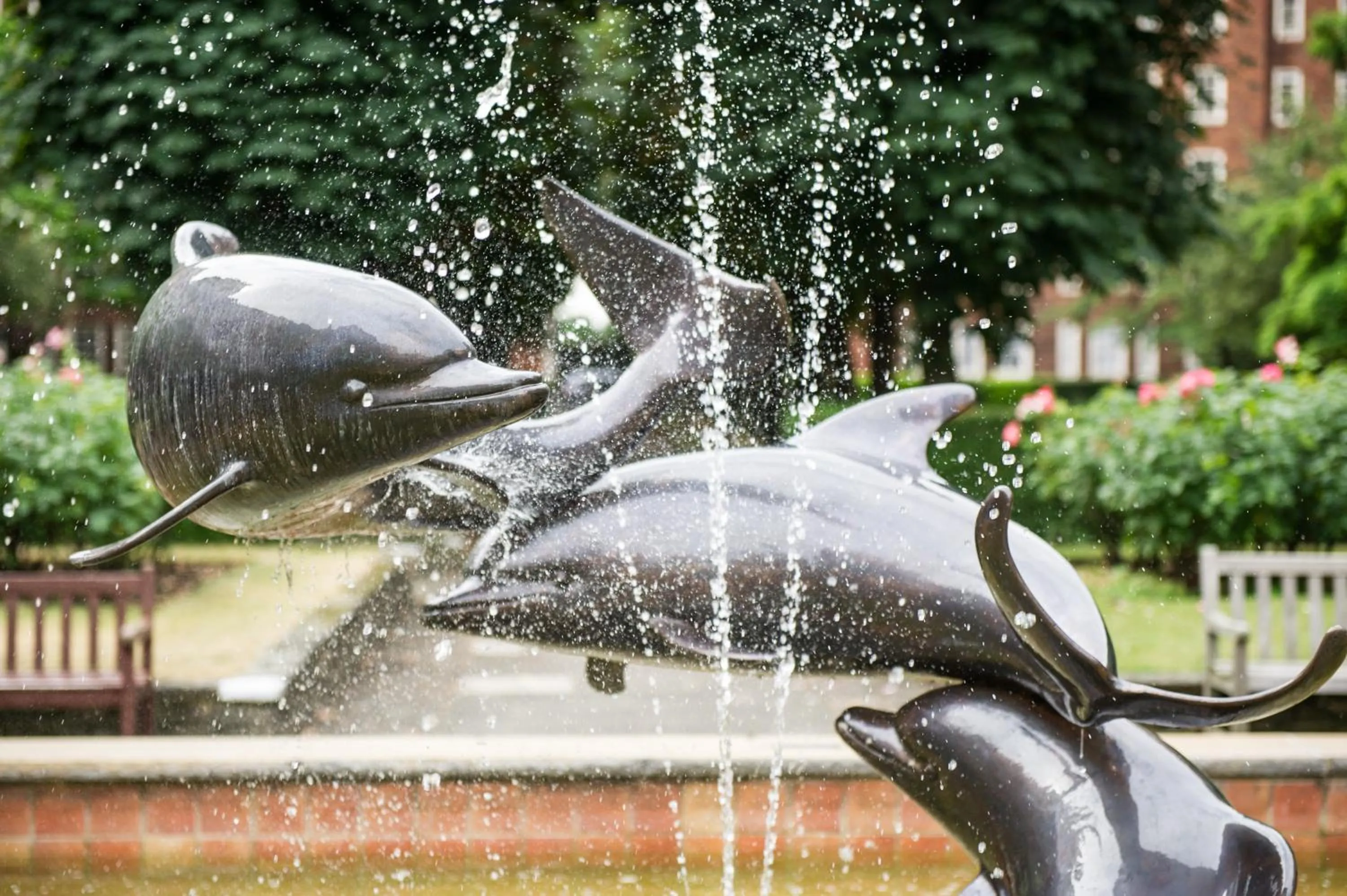 Garden in Dolphin House Serviced Apartments