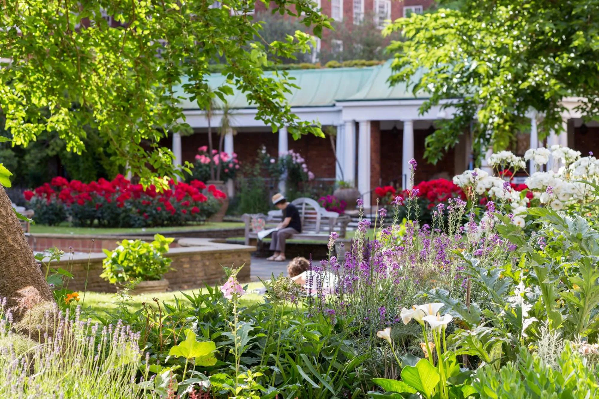 Garden in Dolphin House Serviced Apartments