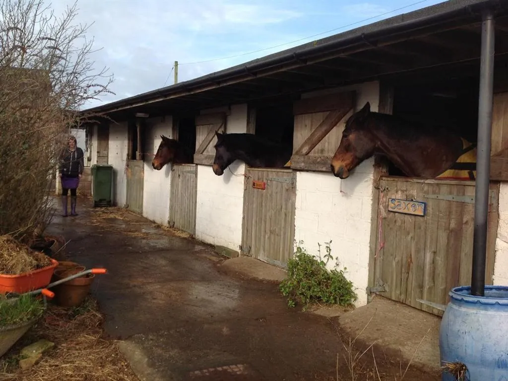Property building in Swallows Rest