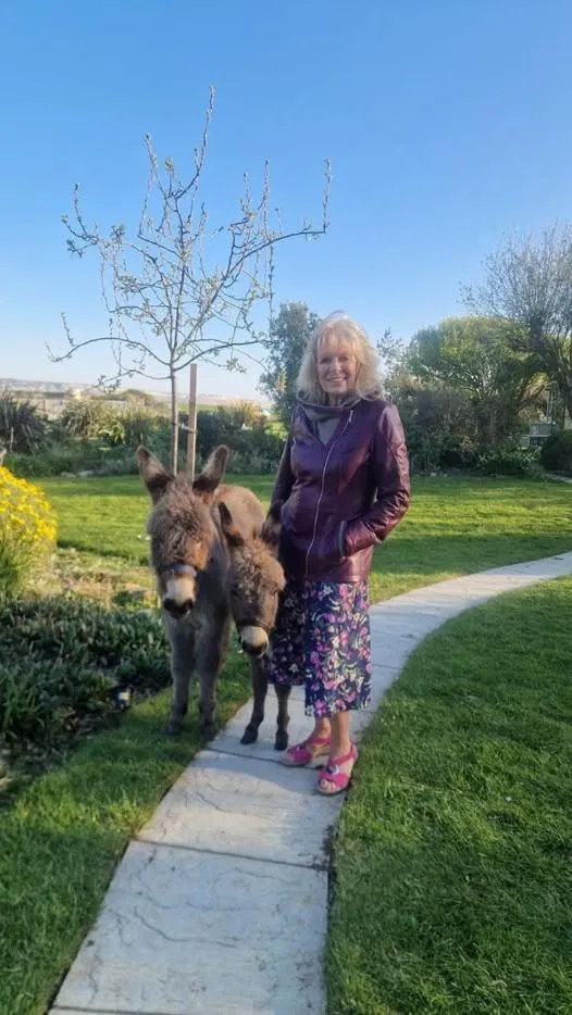 Pets in Swallows Rest