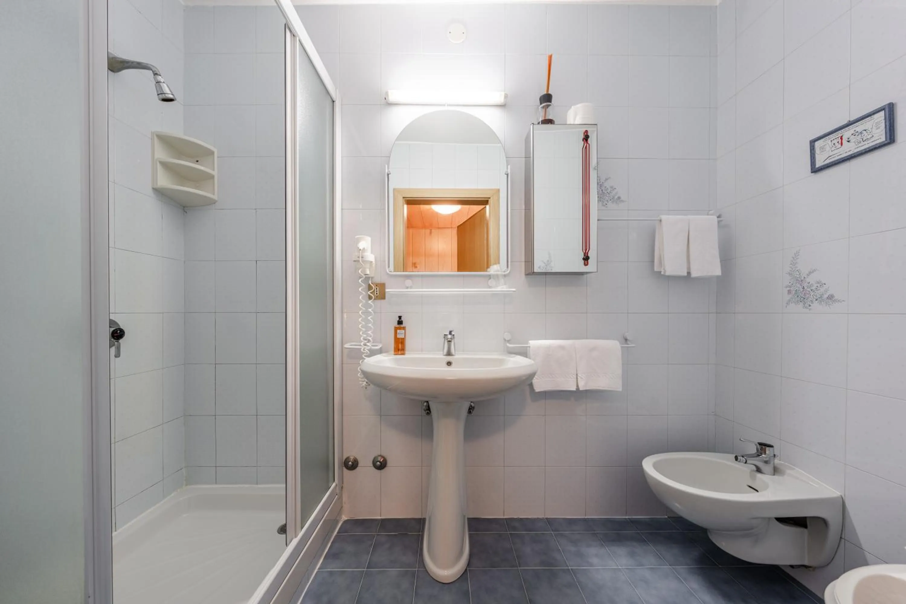 Bathroom in Hotel Vioz