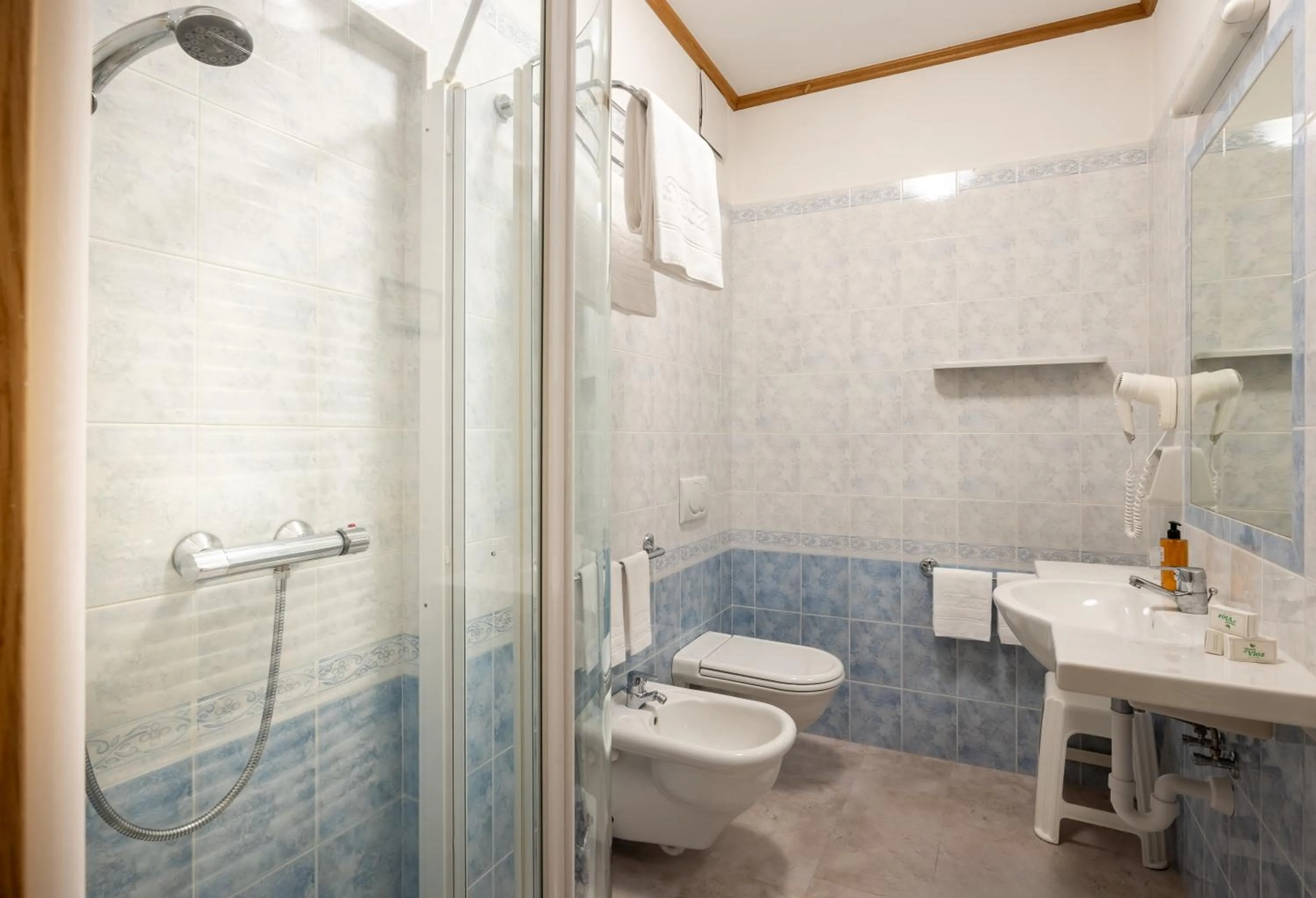 Bathroom in Hotel Vioz