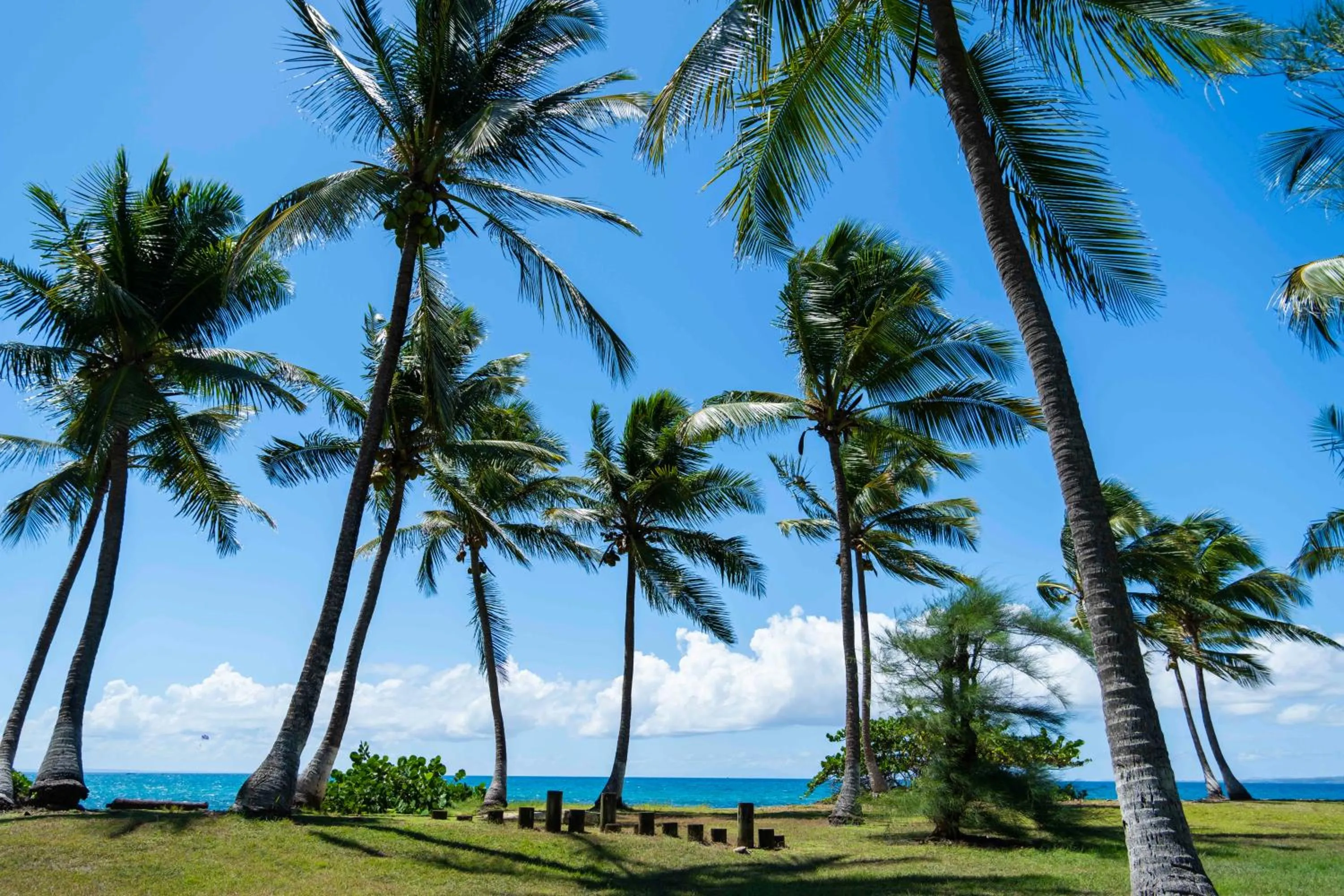 Garden view in Hotel Fleur d'Epee