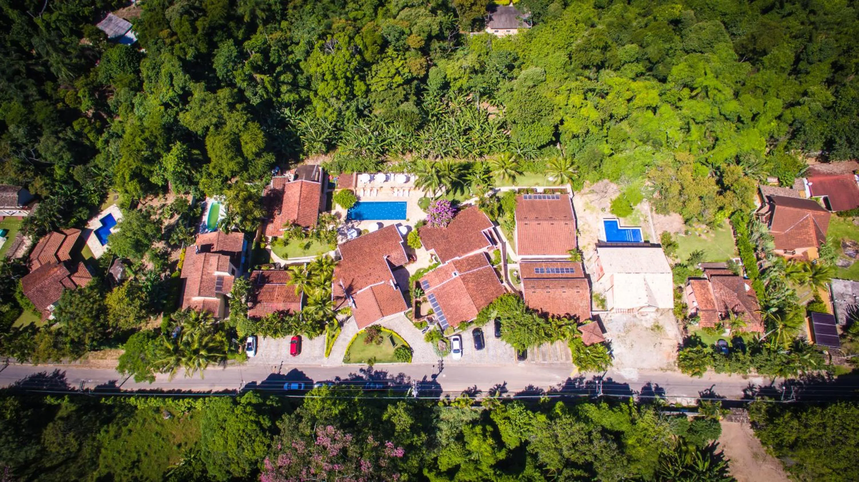 Natural landscape in Hotel Ilhasol