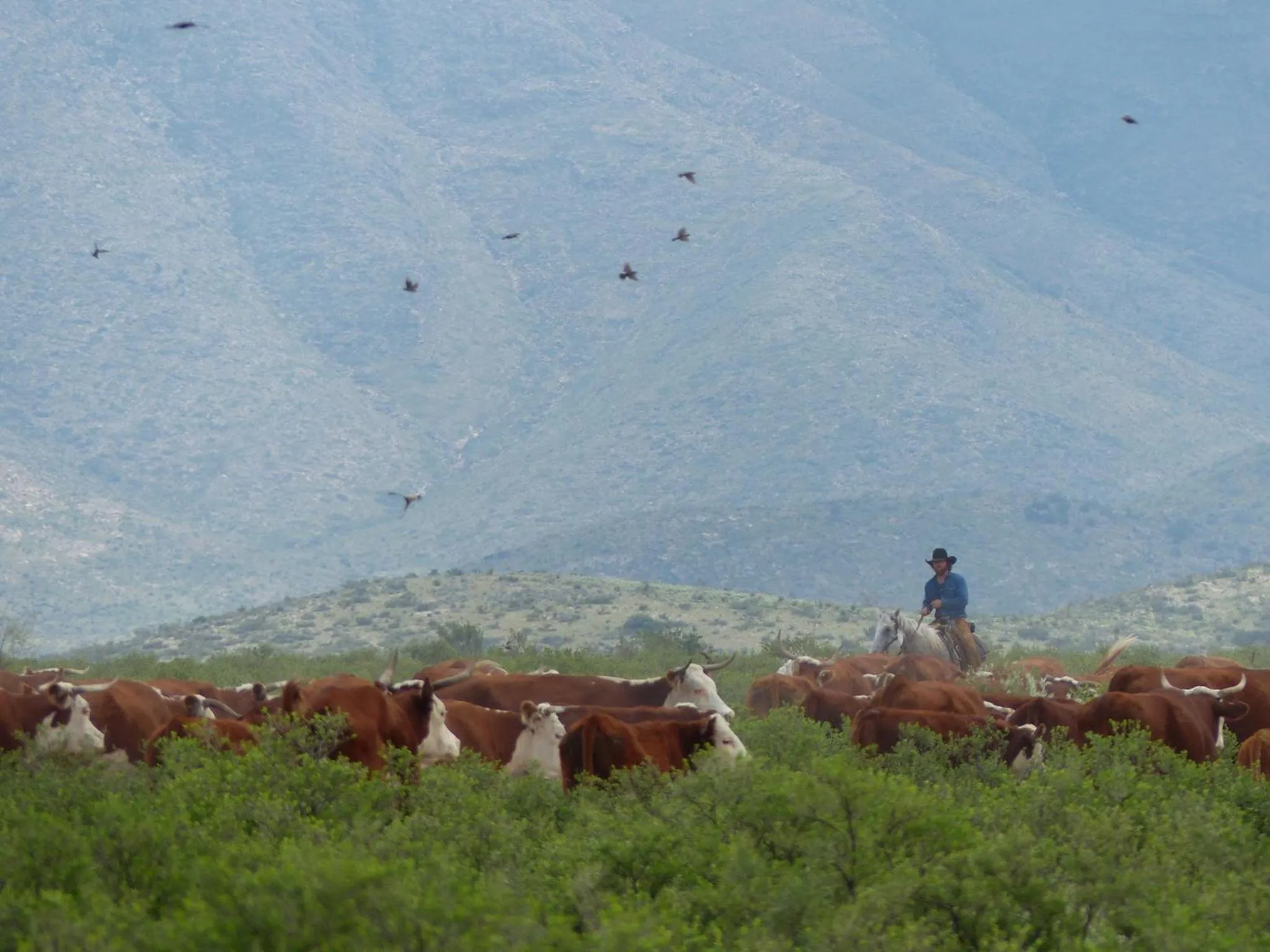 Spring in Hotel Parker at Quarter Circle 7
