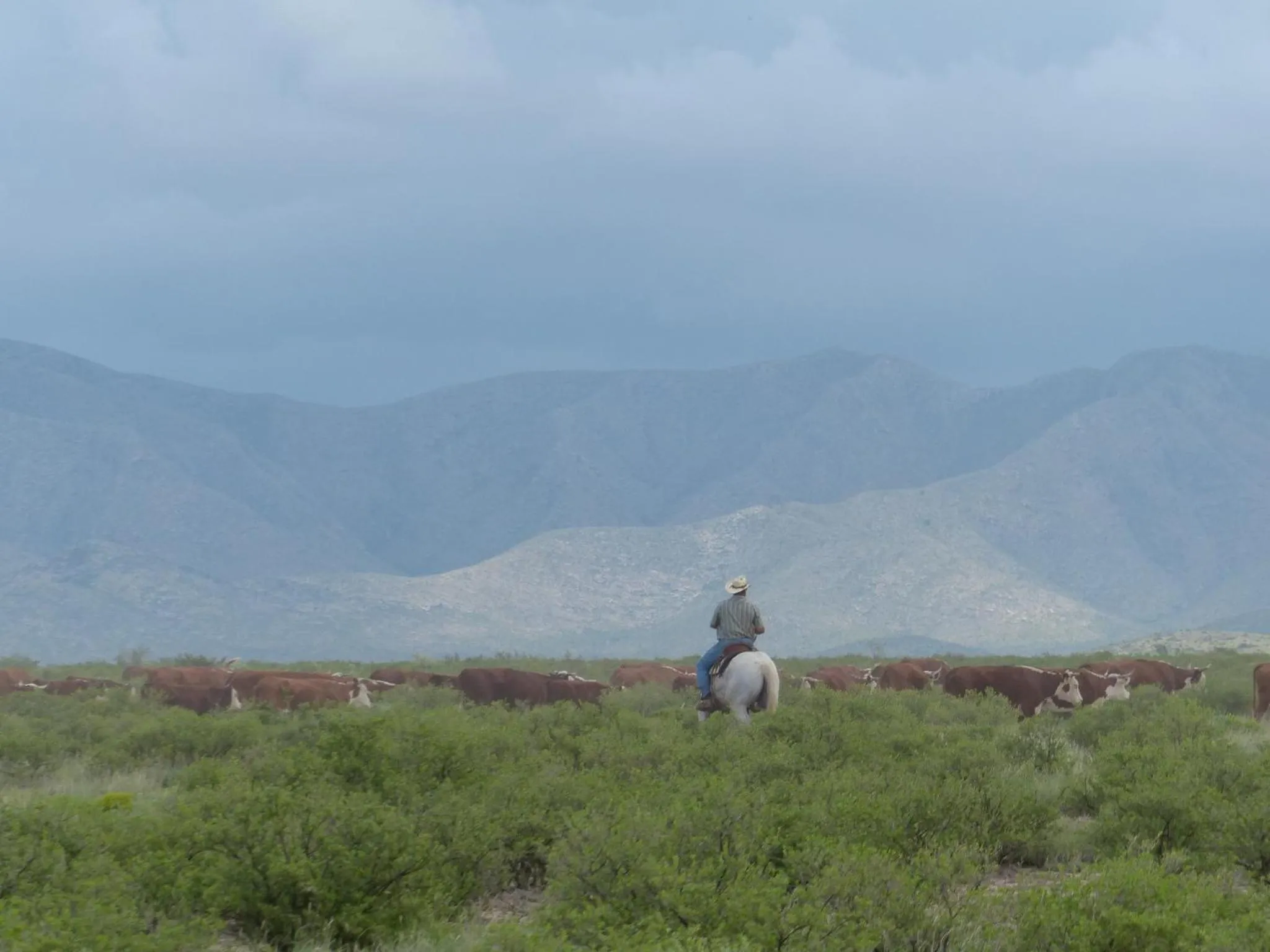 Mountain view in Hotel Parker at Quarter Circle 7