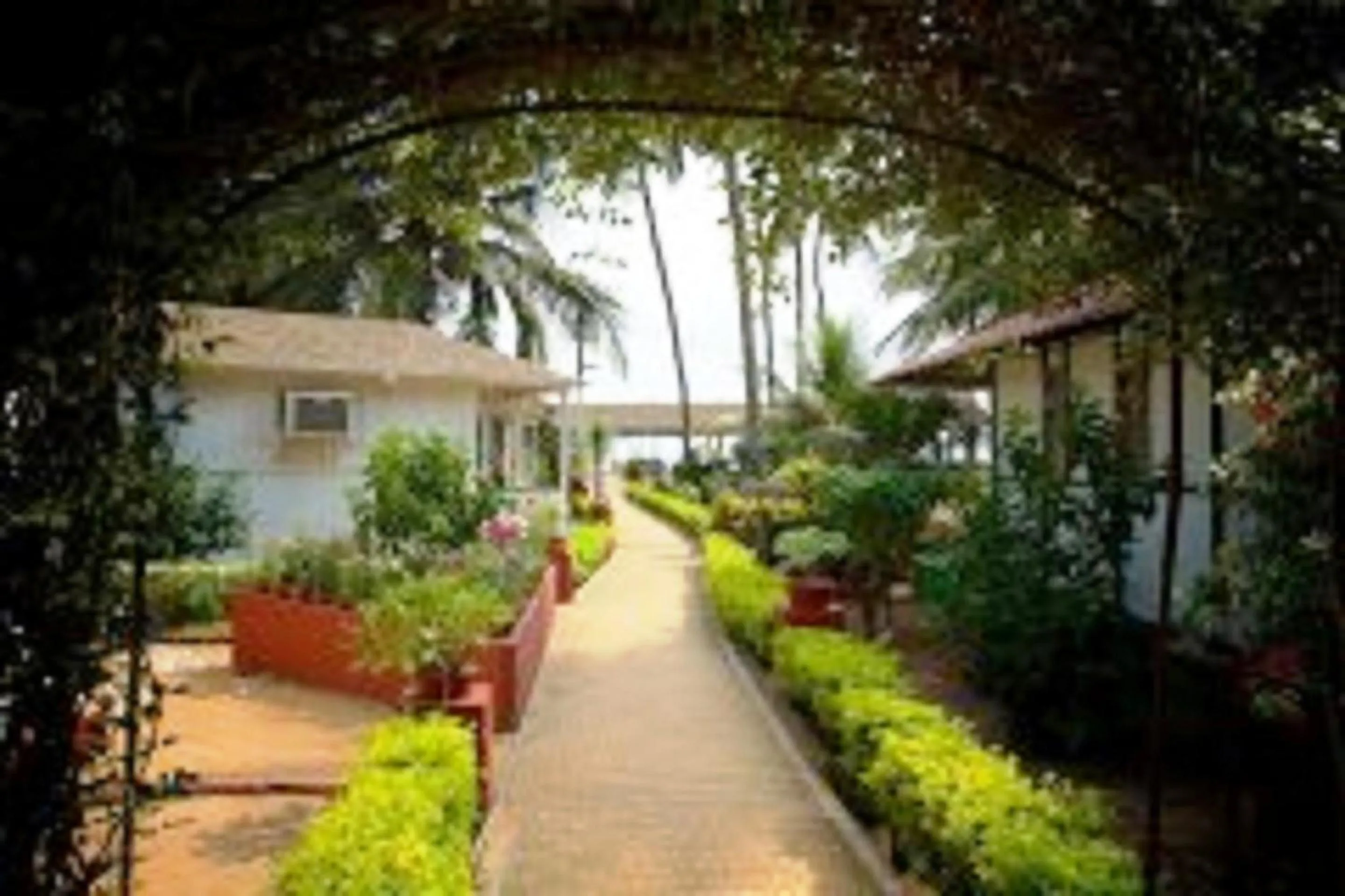 Garden in Palolem Beach Resort