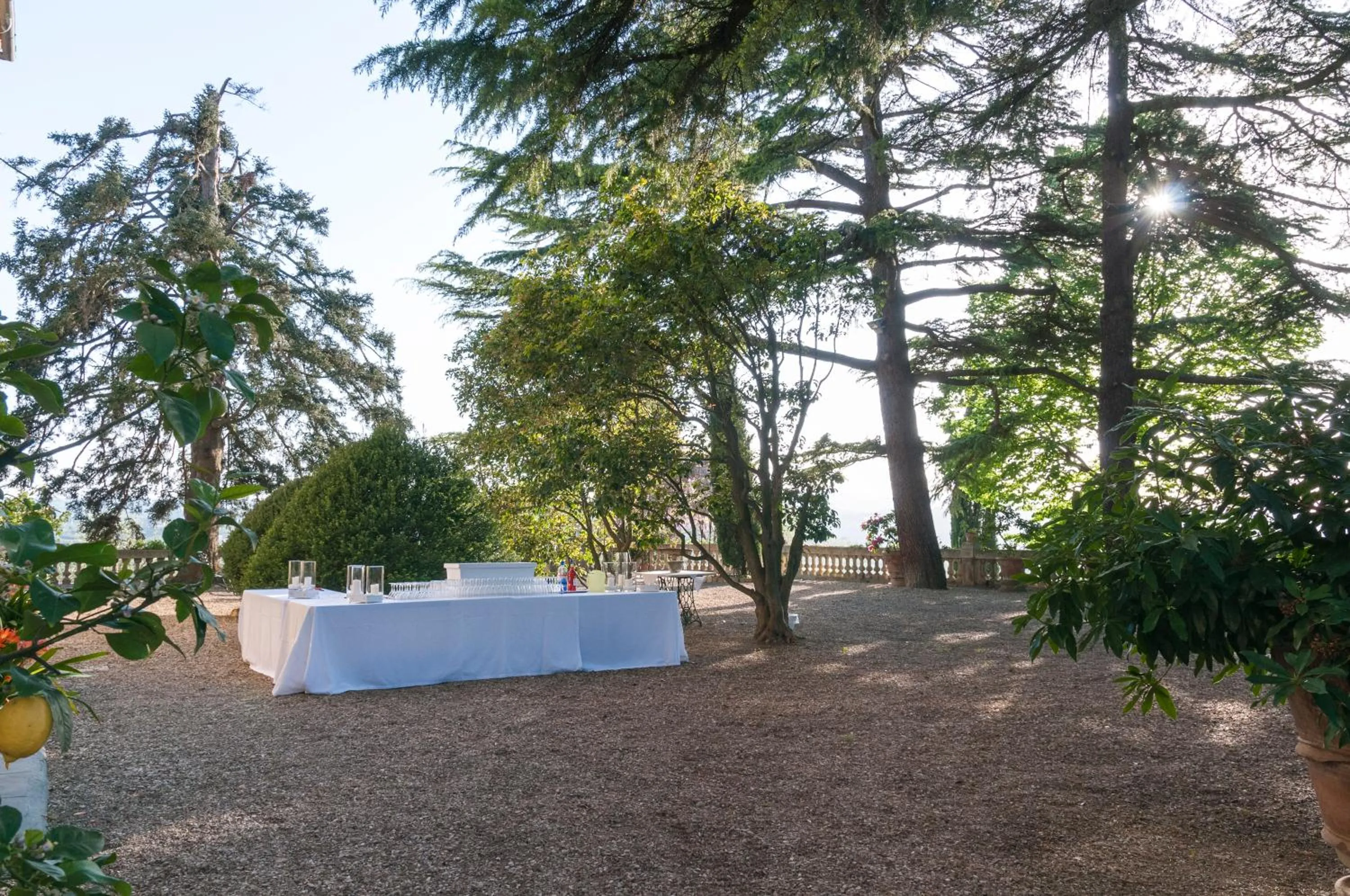 Garden in Villa La Piccioncina Firenze