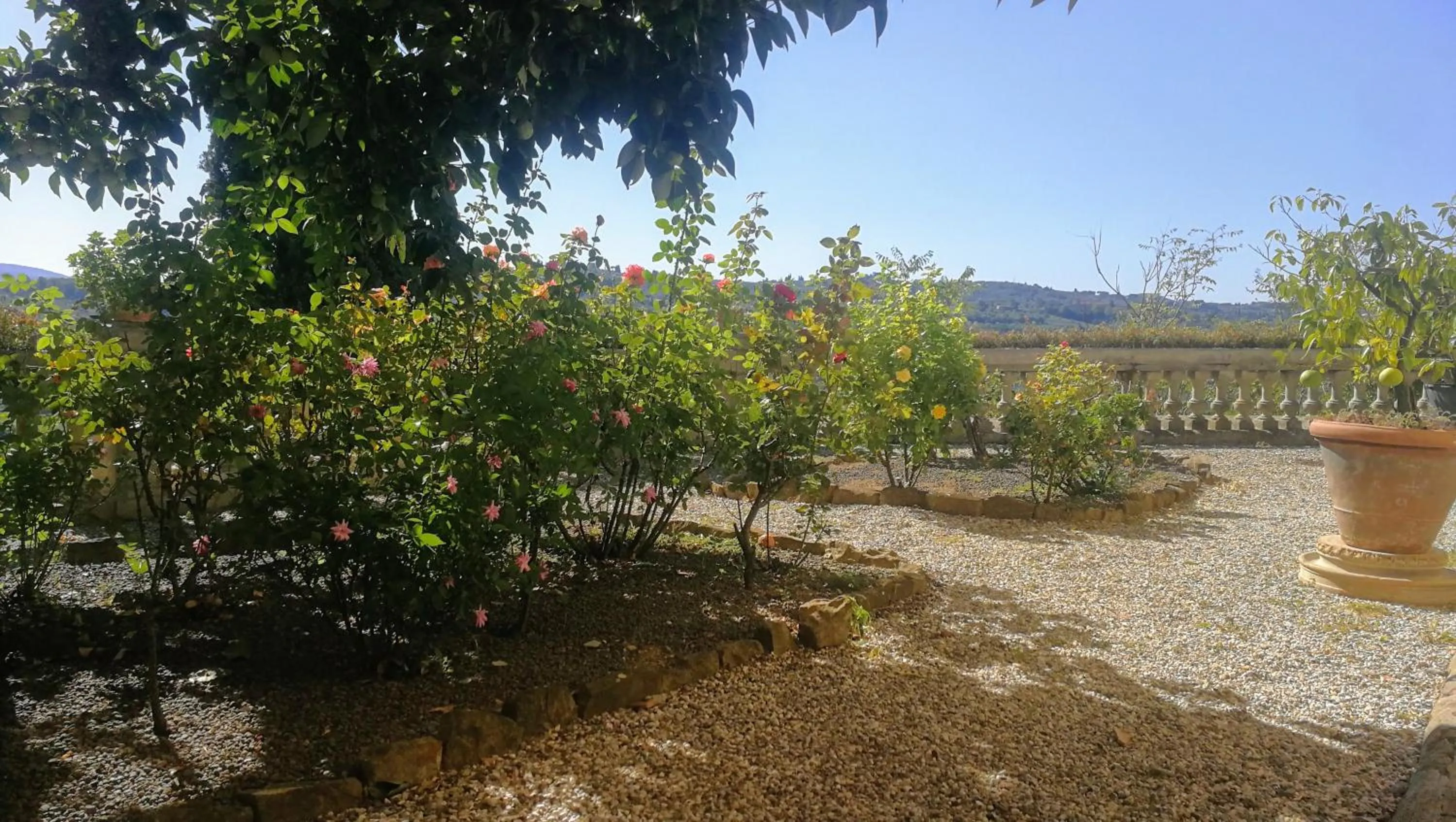 Garden in Villa La Piccioncina Firenze