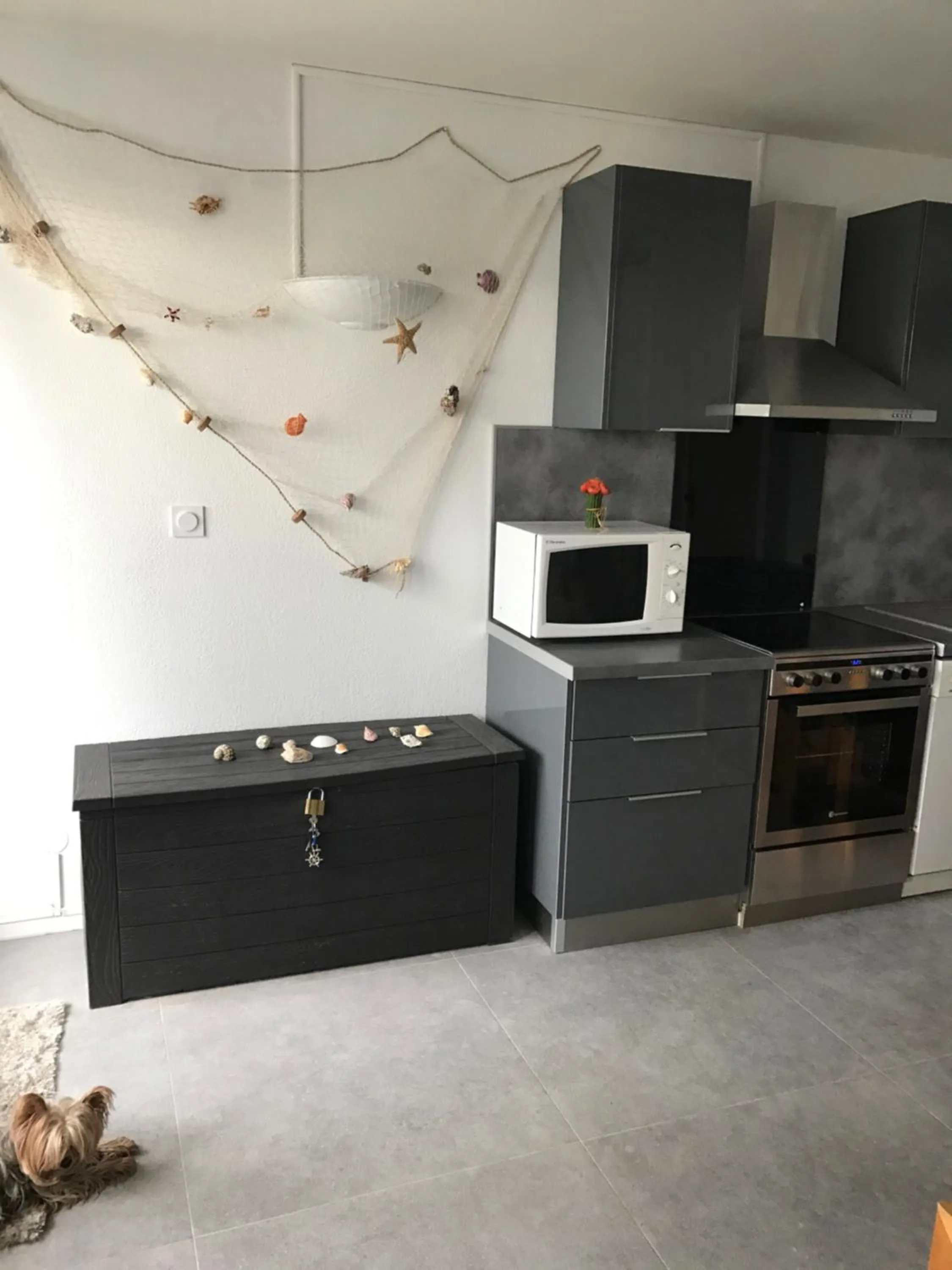 Les cigales de la mer Place de la libération