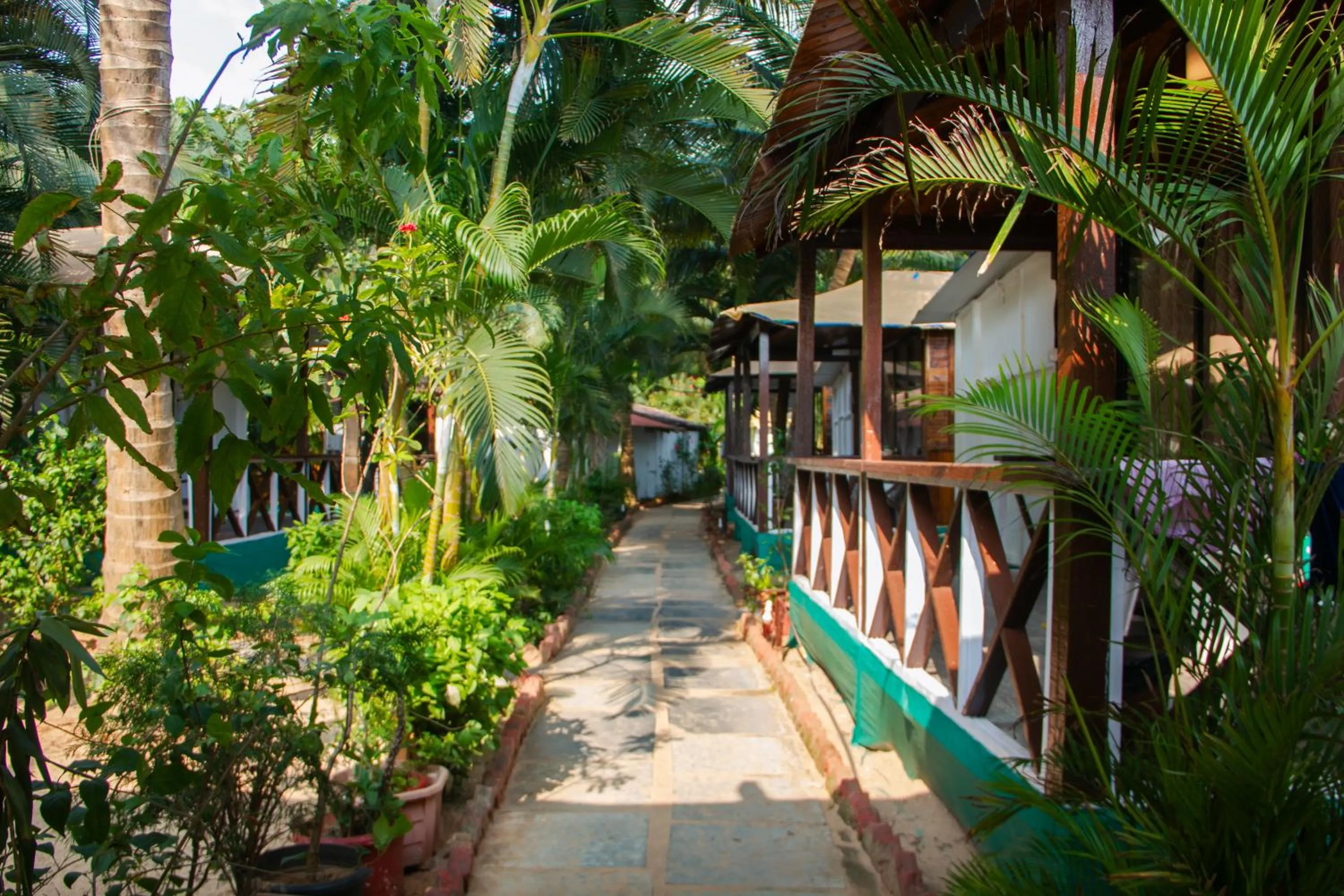 Property building in Cuba Patnem