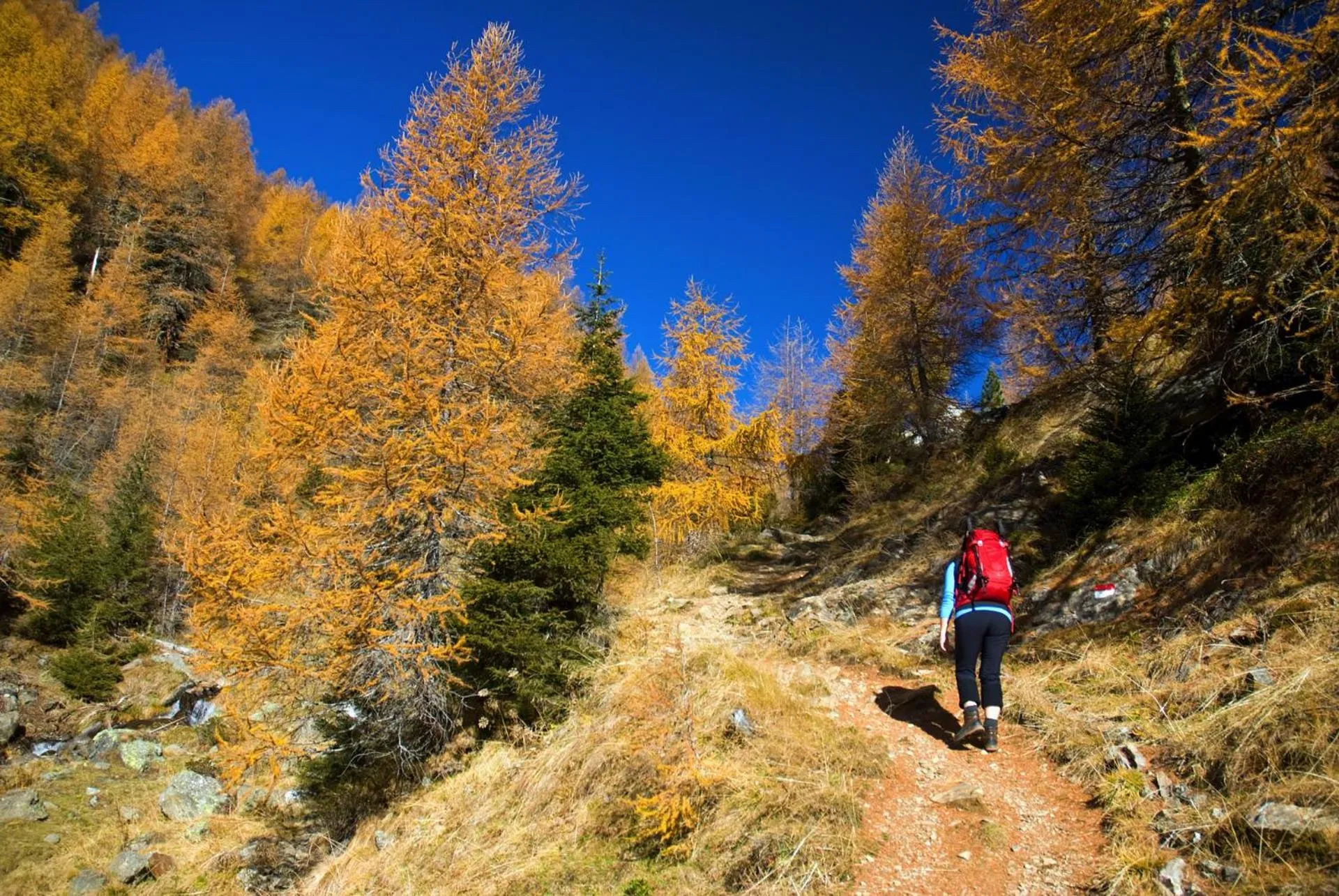 Hiking in Tirolerhof Tisens