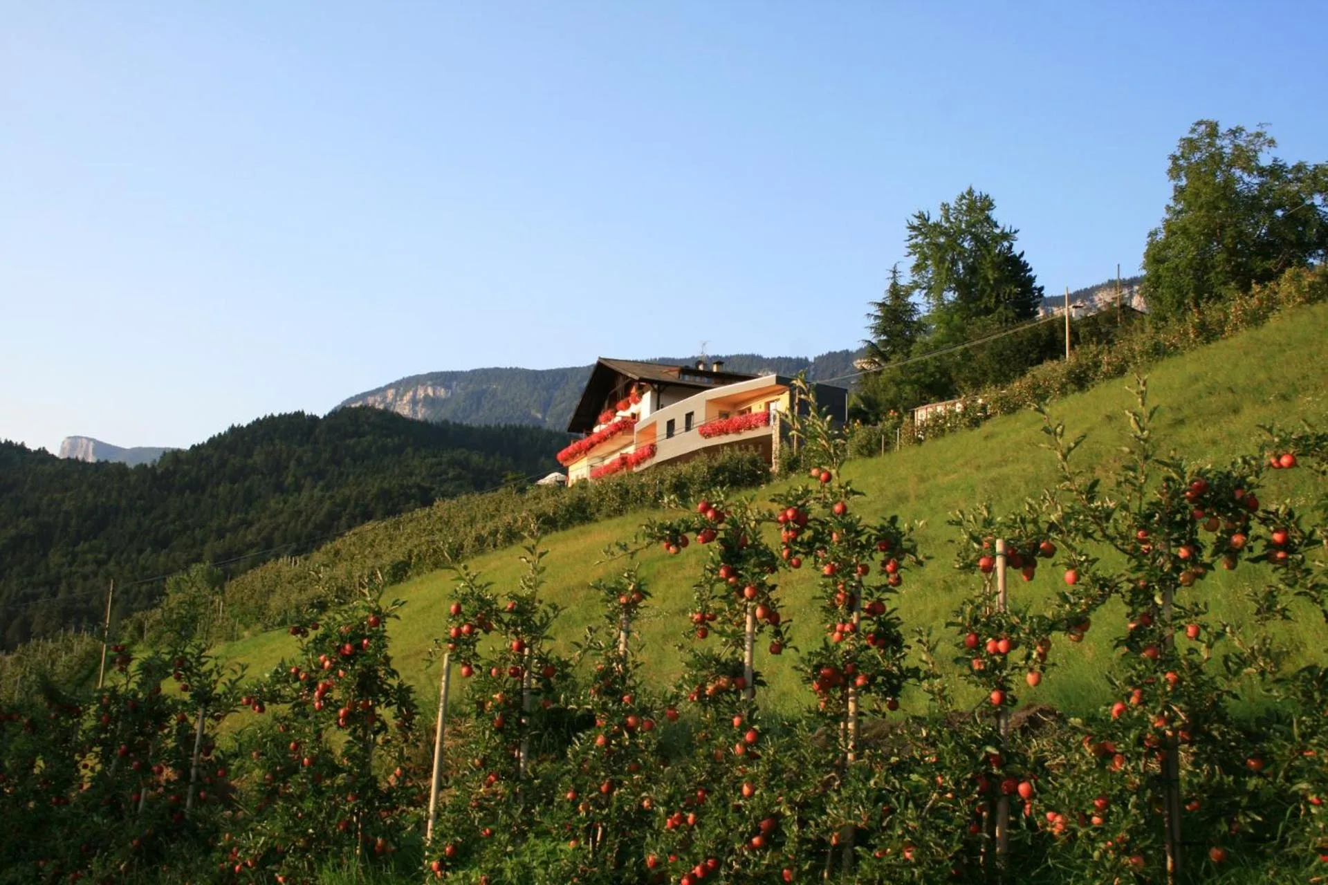 Property building in Tirolerhof Tisens