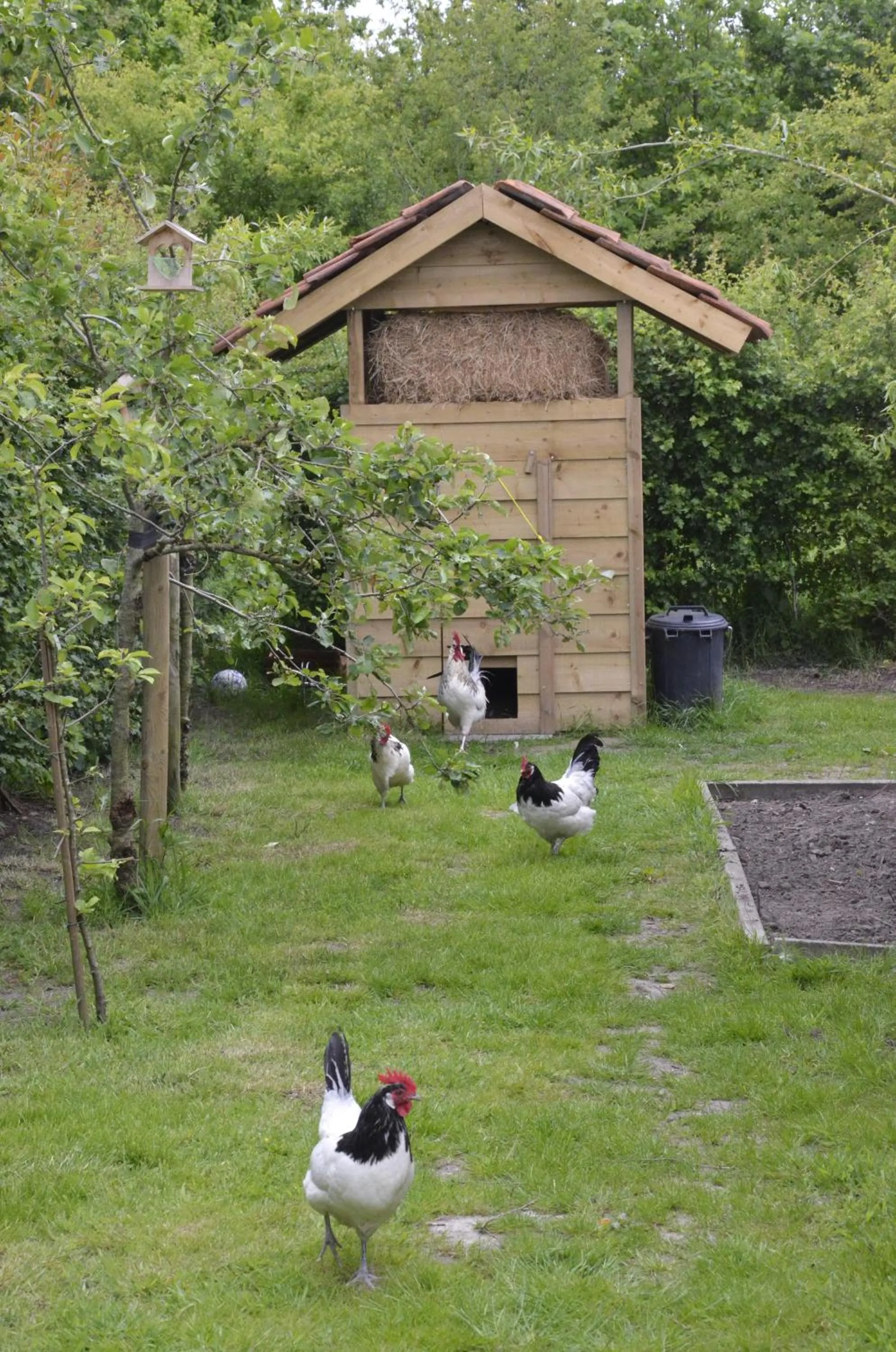 Garden in Stee 23