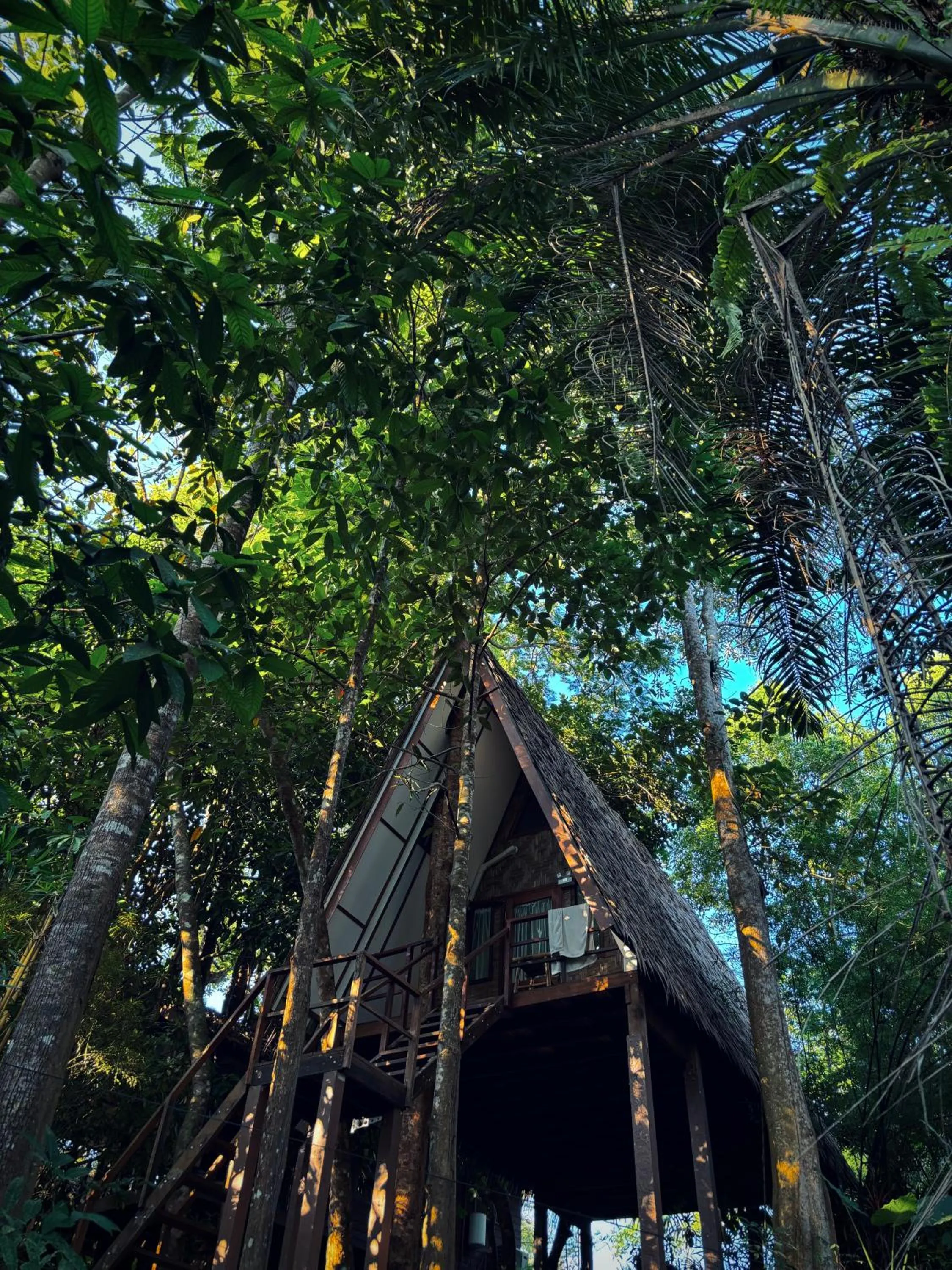 Property building in Khao Sok Paradise Resort