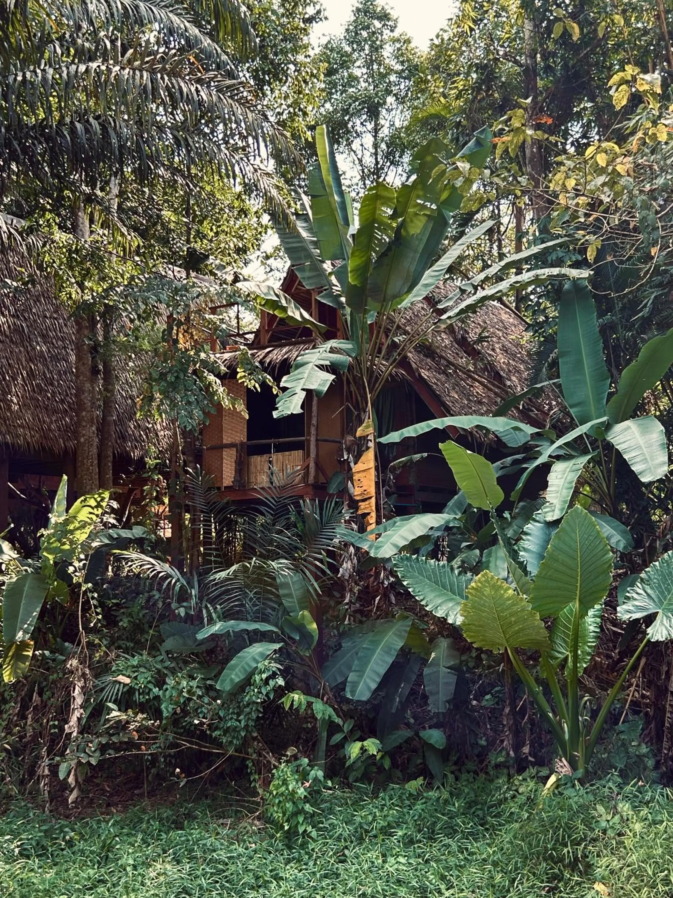 Property building in Khao Sok Paradise Resort