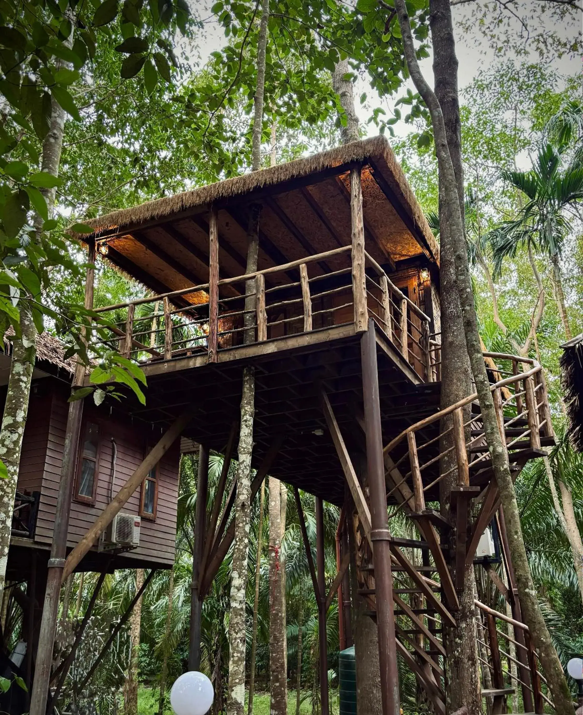Family Suite with Balcony in Khao Sok Paradise Resort Family Suite with Balcony in Khao Sok Paradise Resort