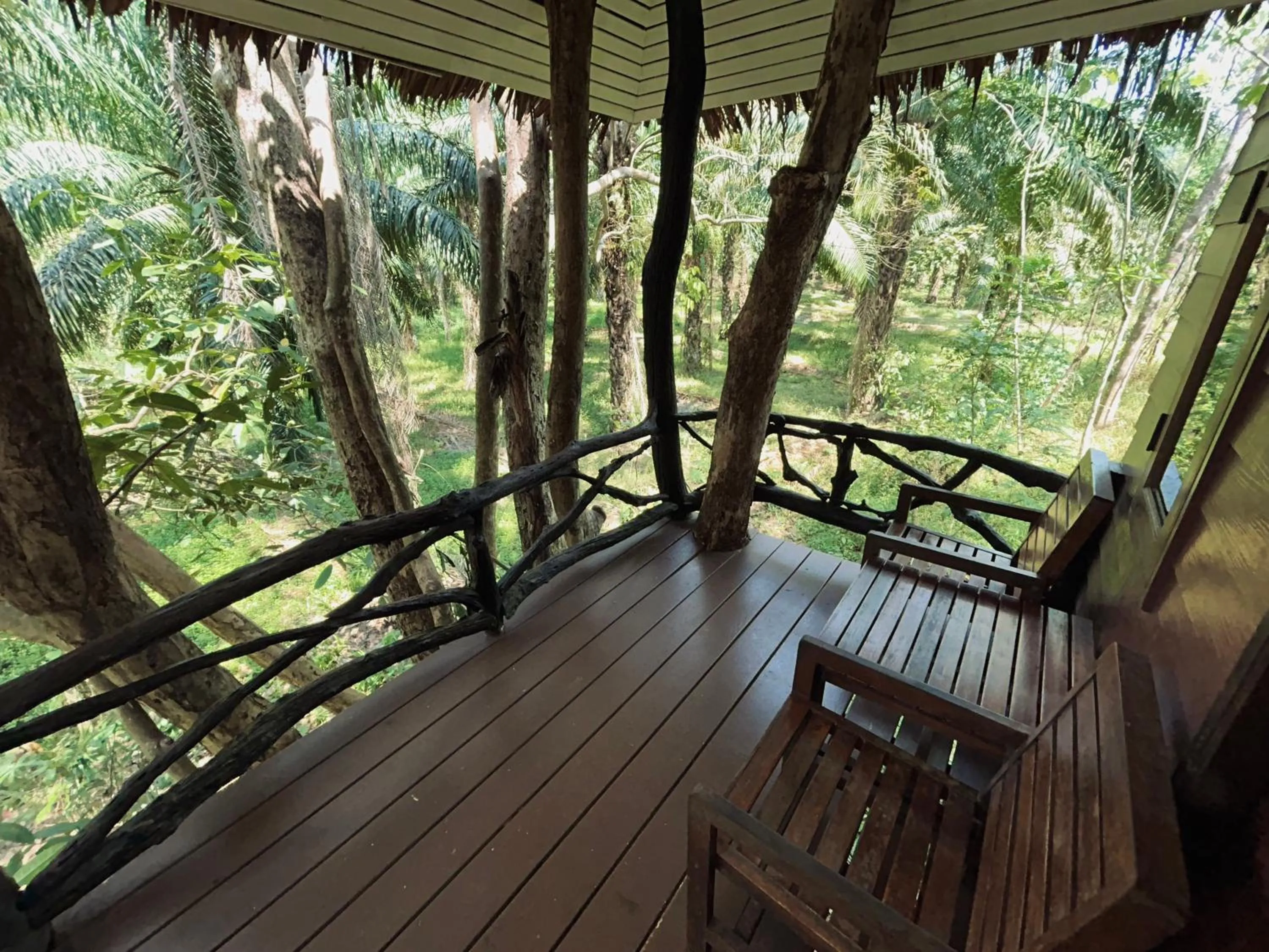 Natural landscape in Khao Sok Paradise Resort
