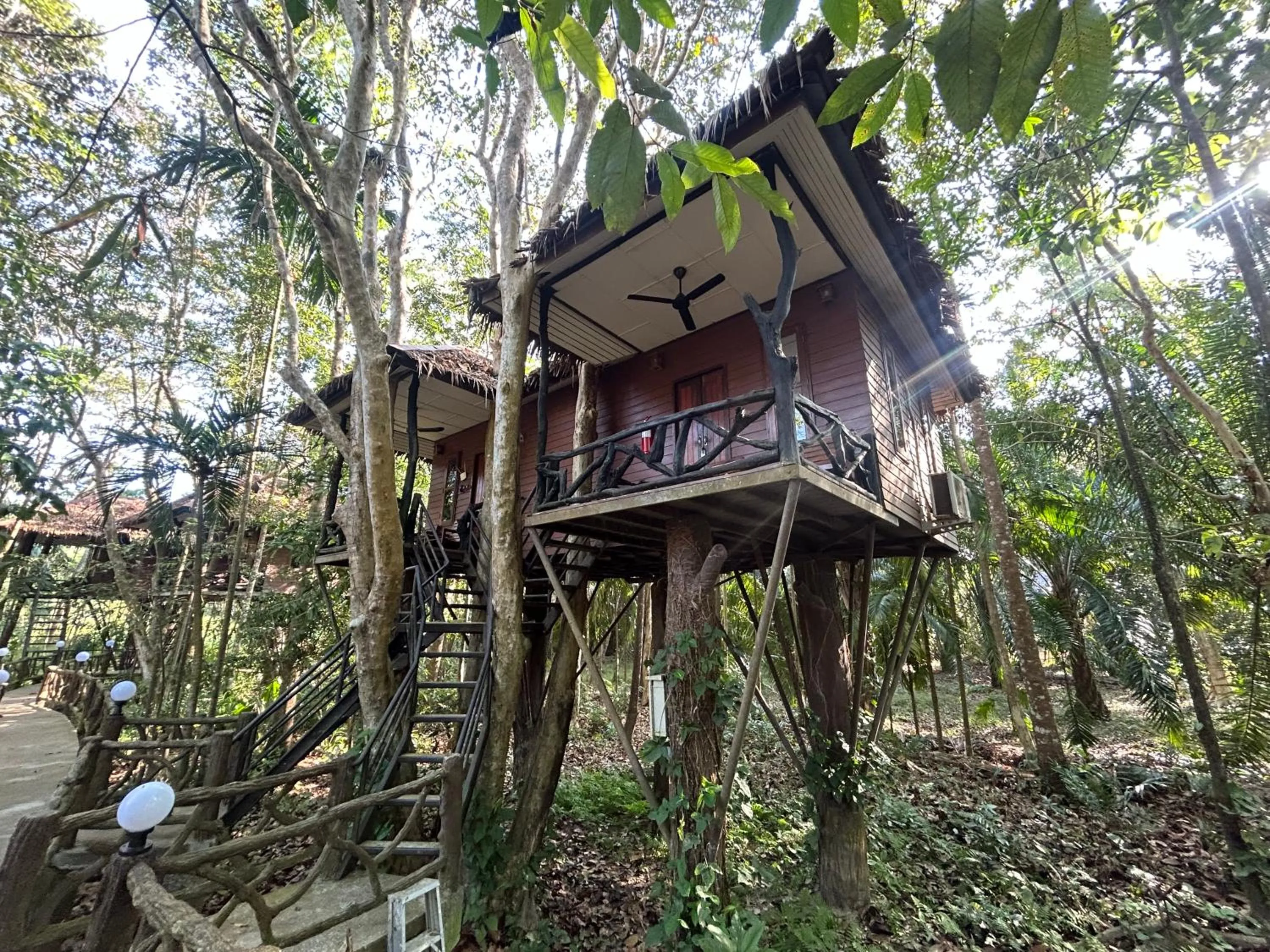 Property building in Khao Sok Paradise Resort